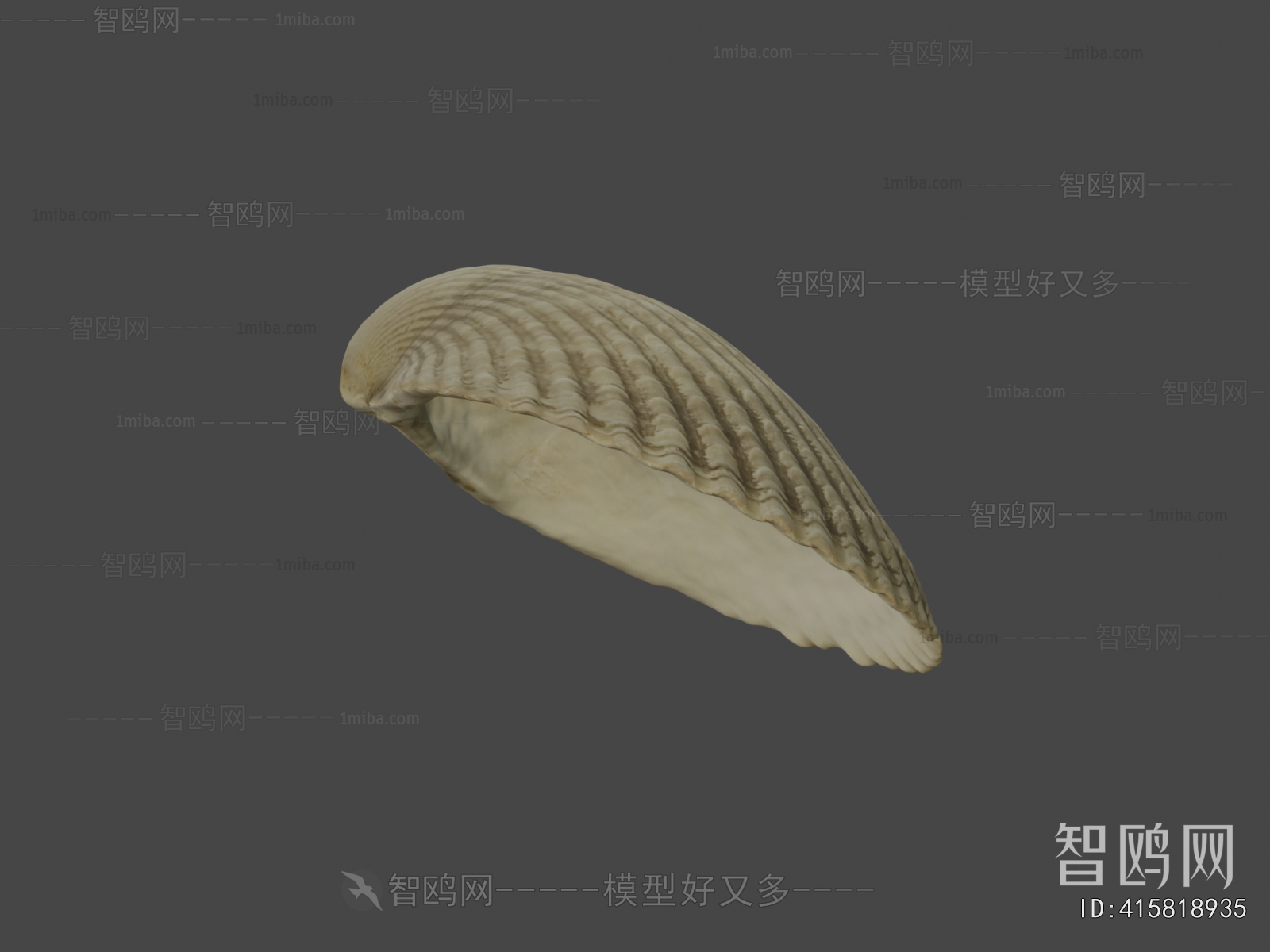 Modern Aquatic Animals