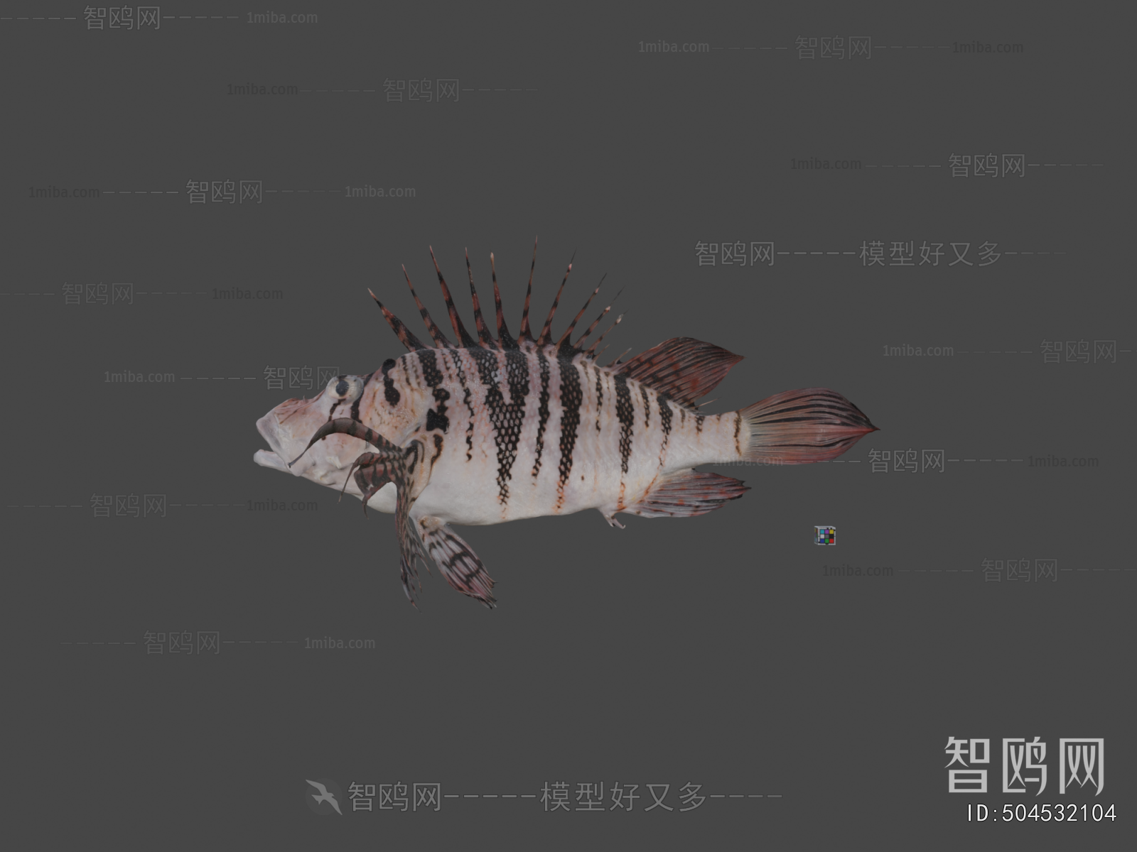 Modern Aquatic Animals