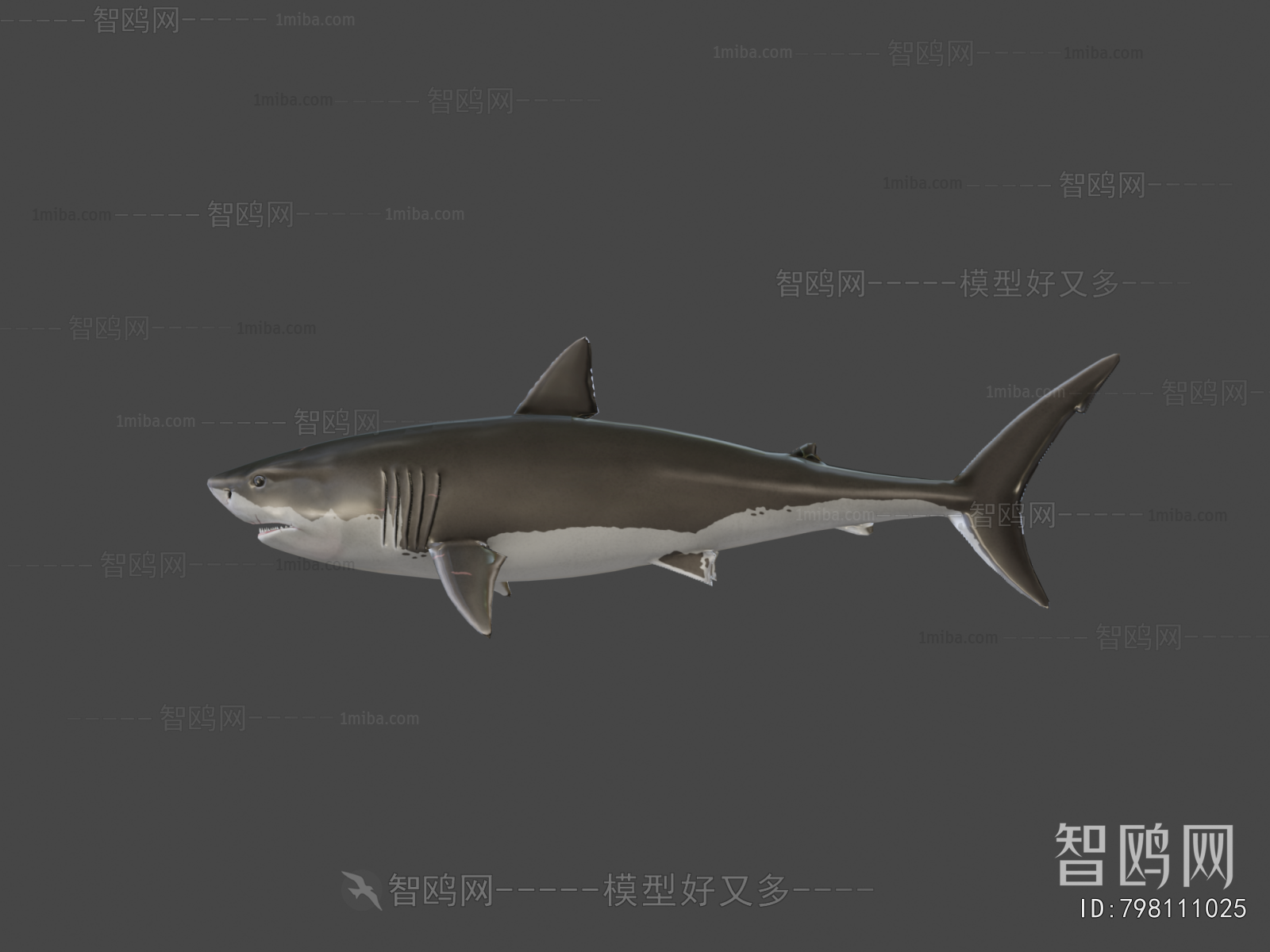 Modern Aquatic Animals