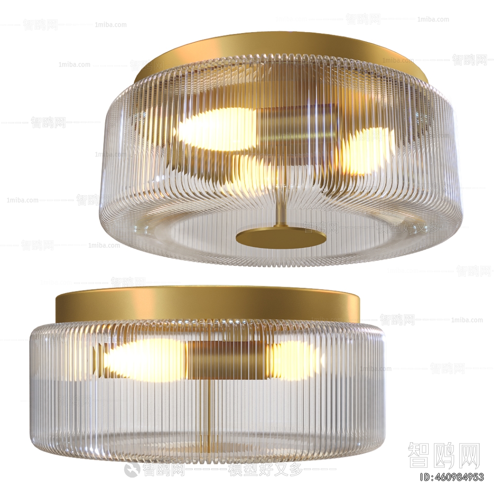 Modern Ceiling Ceiling Lamp