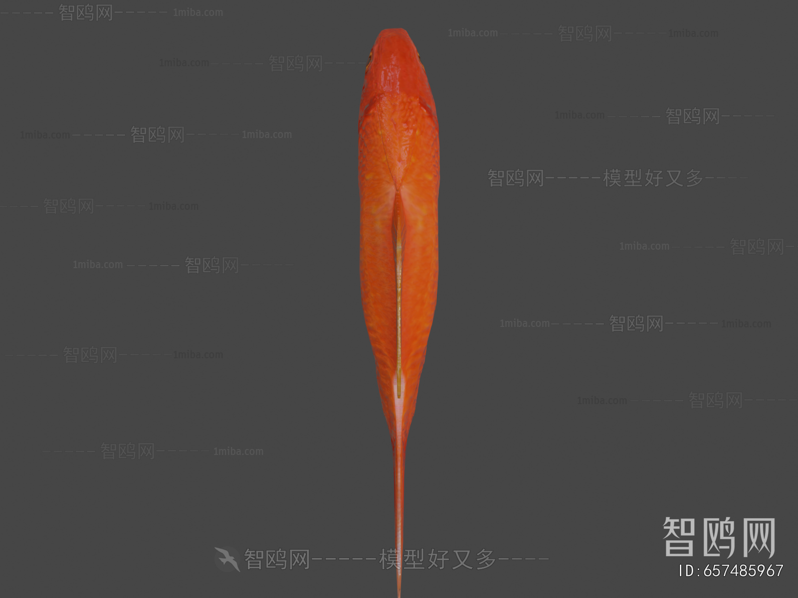 Modern Aquatic Animals