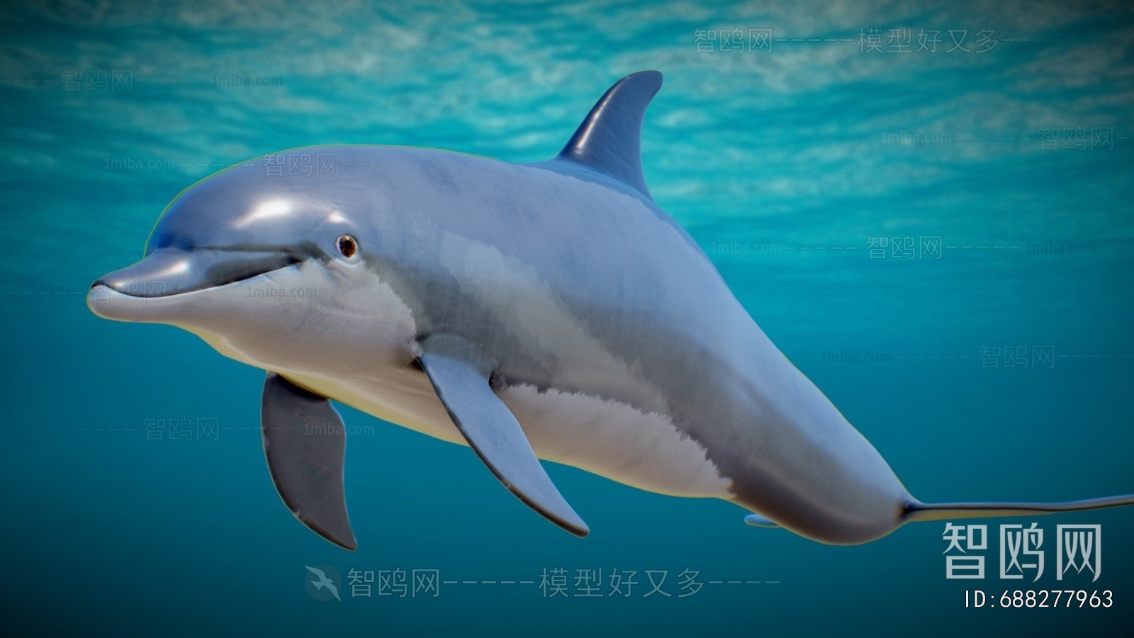 Modern Aquatic Animals