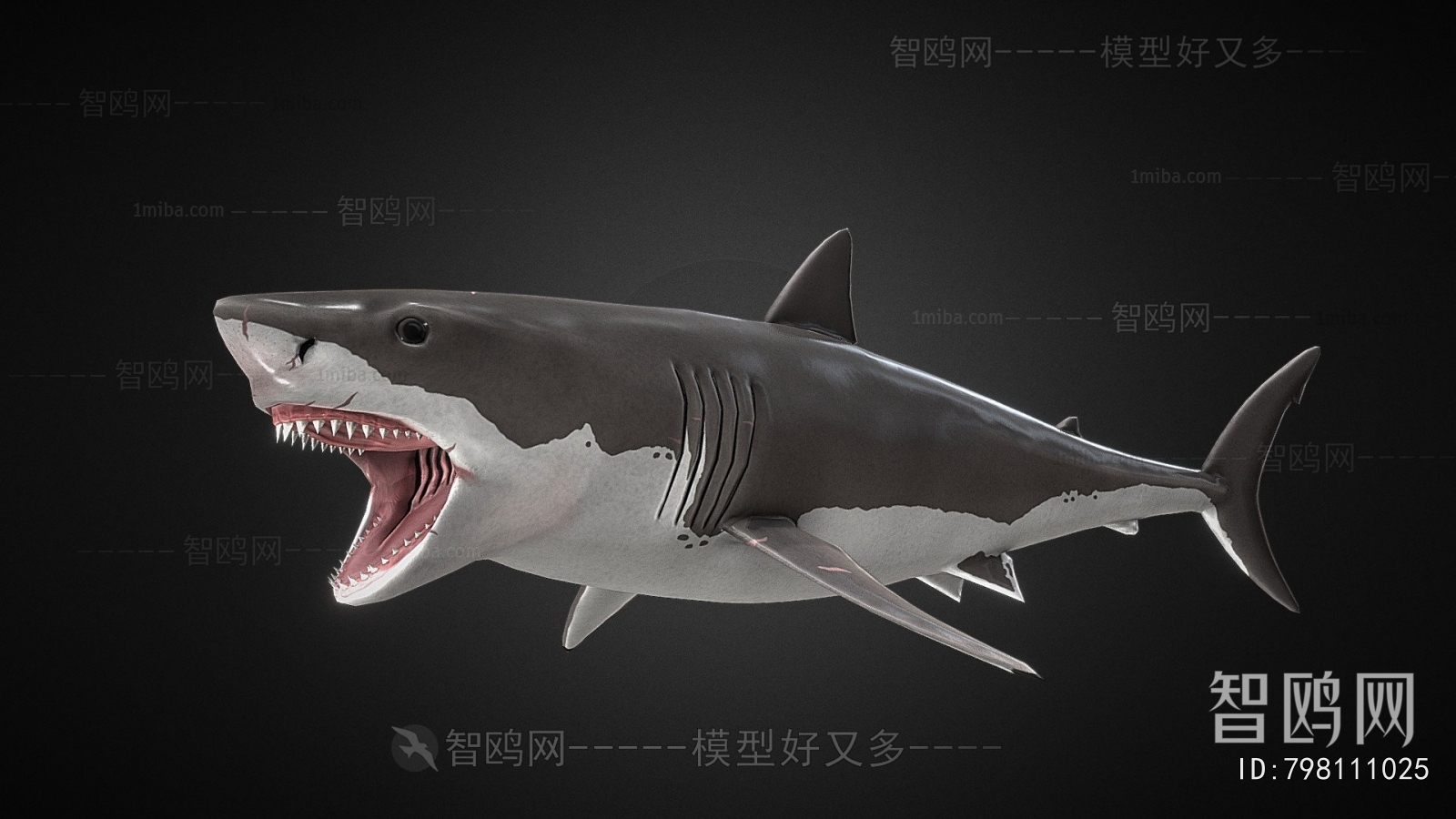 Modern Aquatic Animals