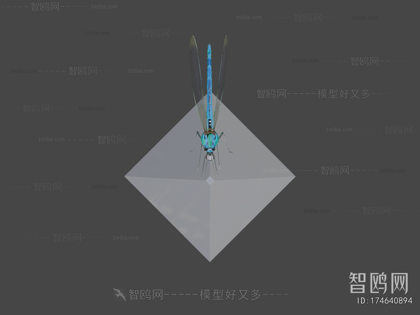 Modern Flying Animals