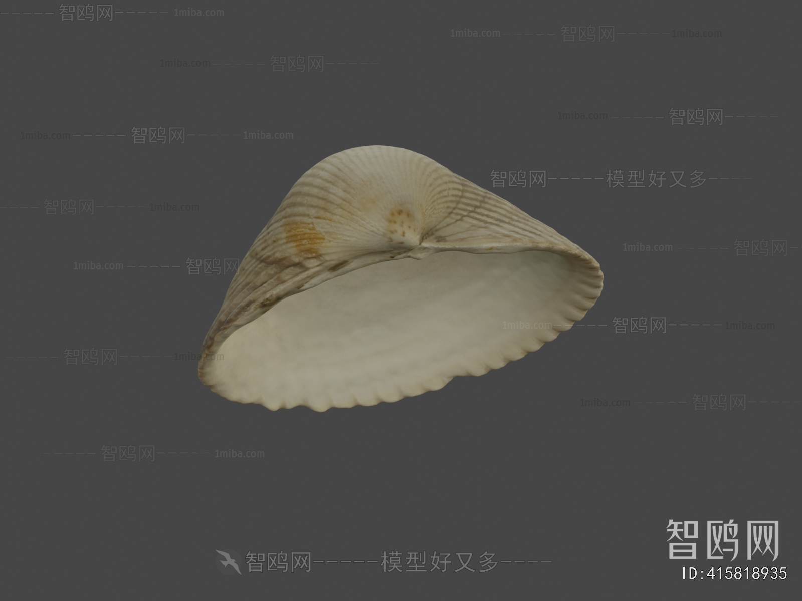 Modern Aquatic Animals