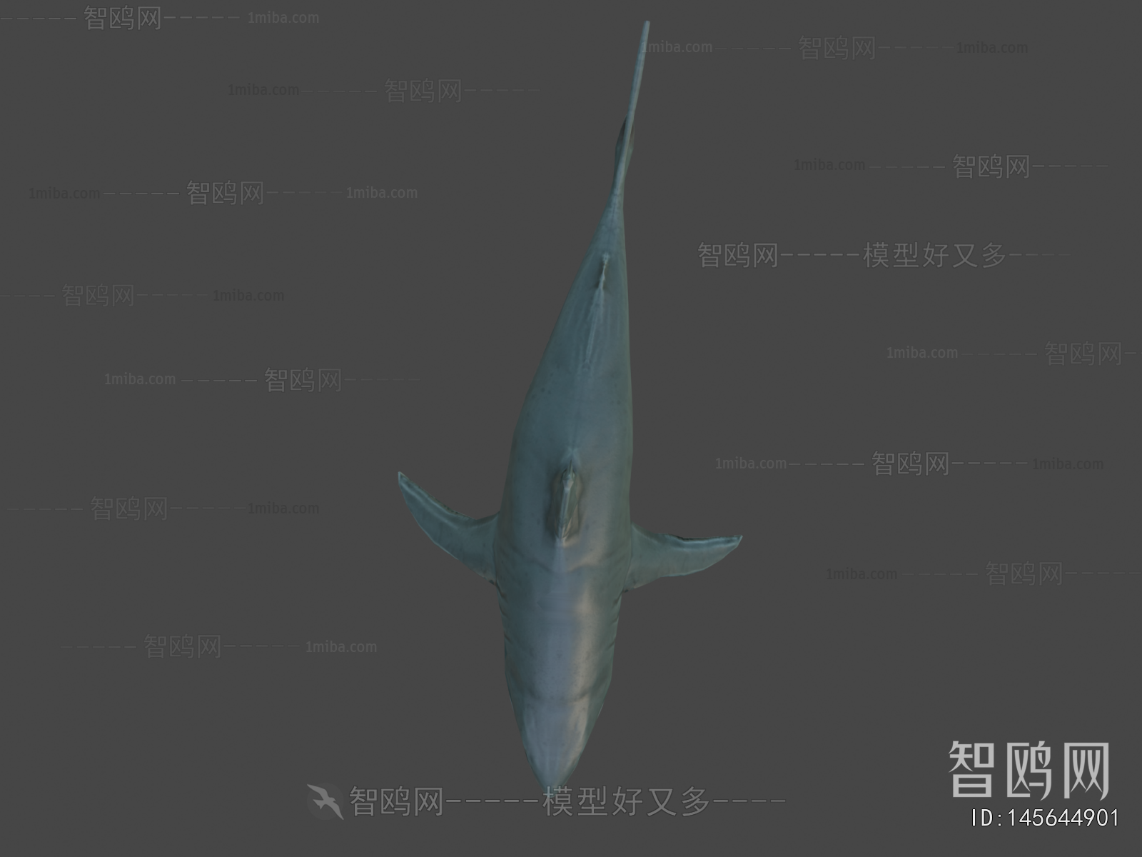 Modern Aquatic Animals