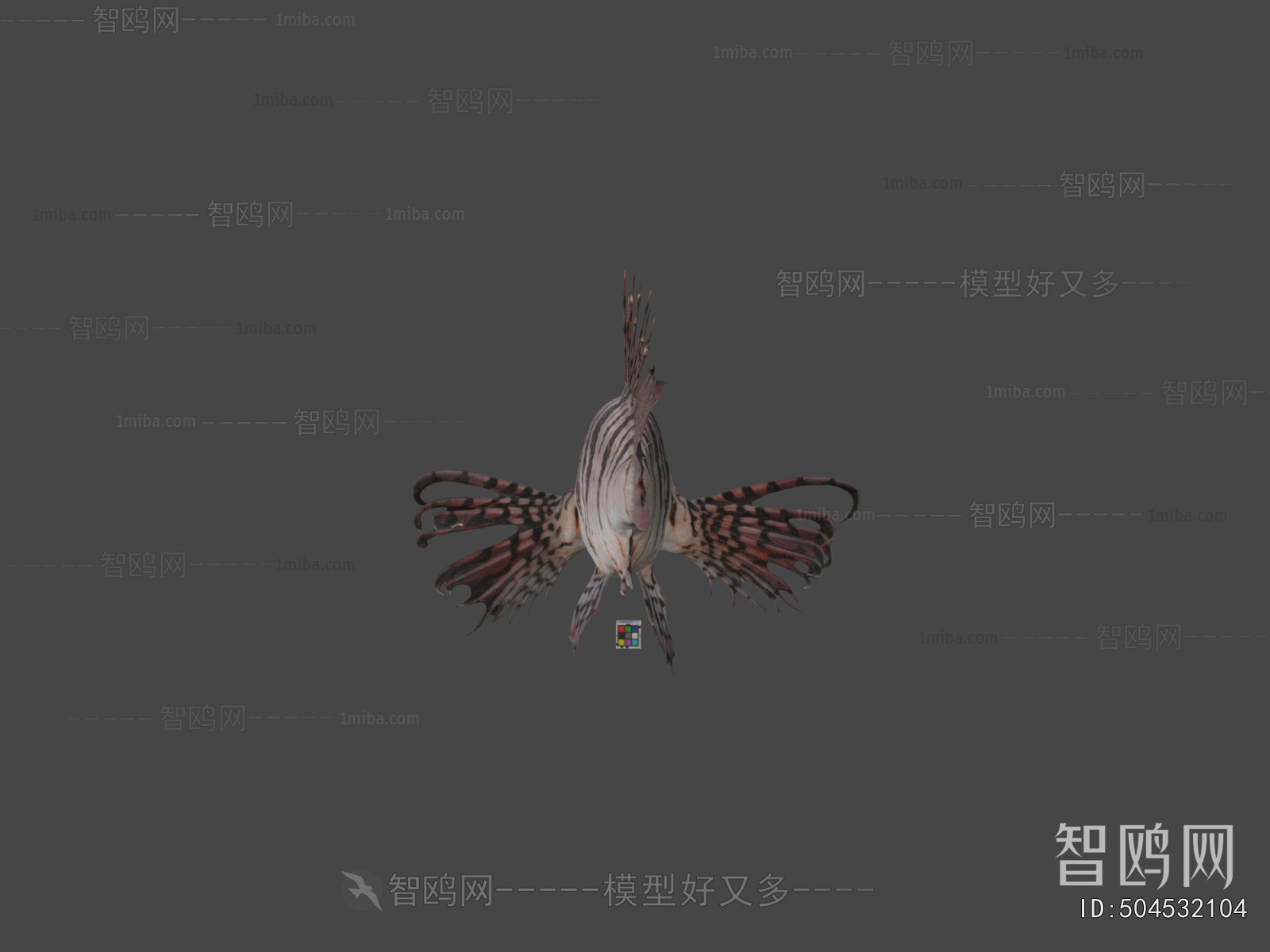 Modern Aquatic Animals