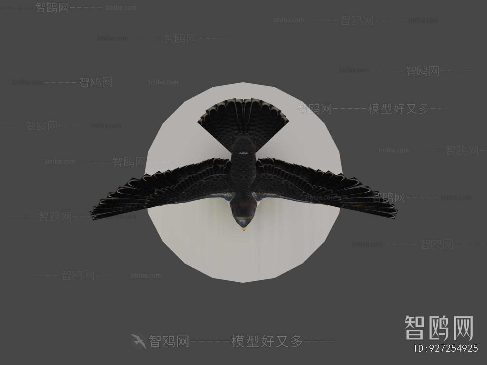 Modern Flying Animals