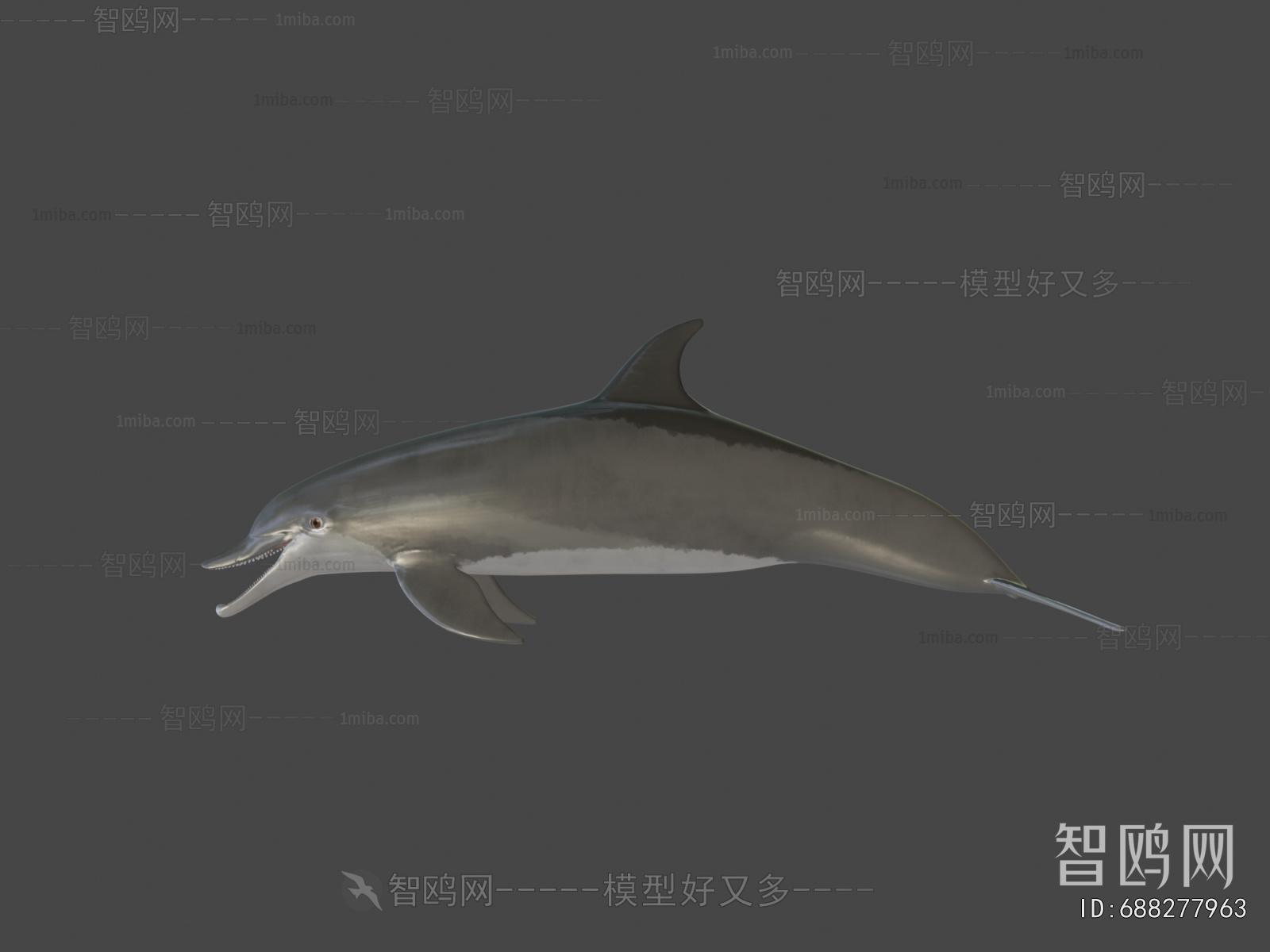 Modern Aquatic Animals