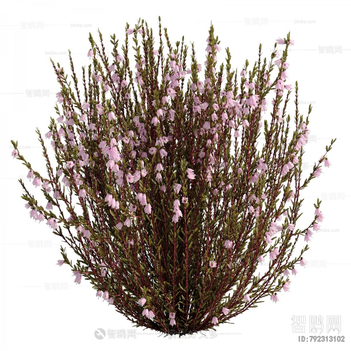 Modern Flowers And Grass