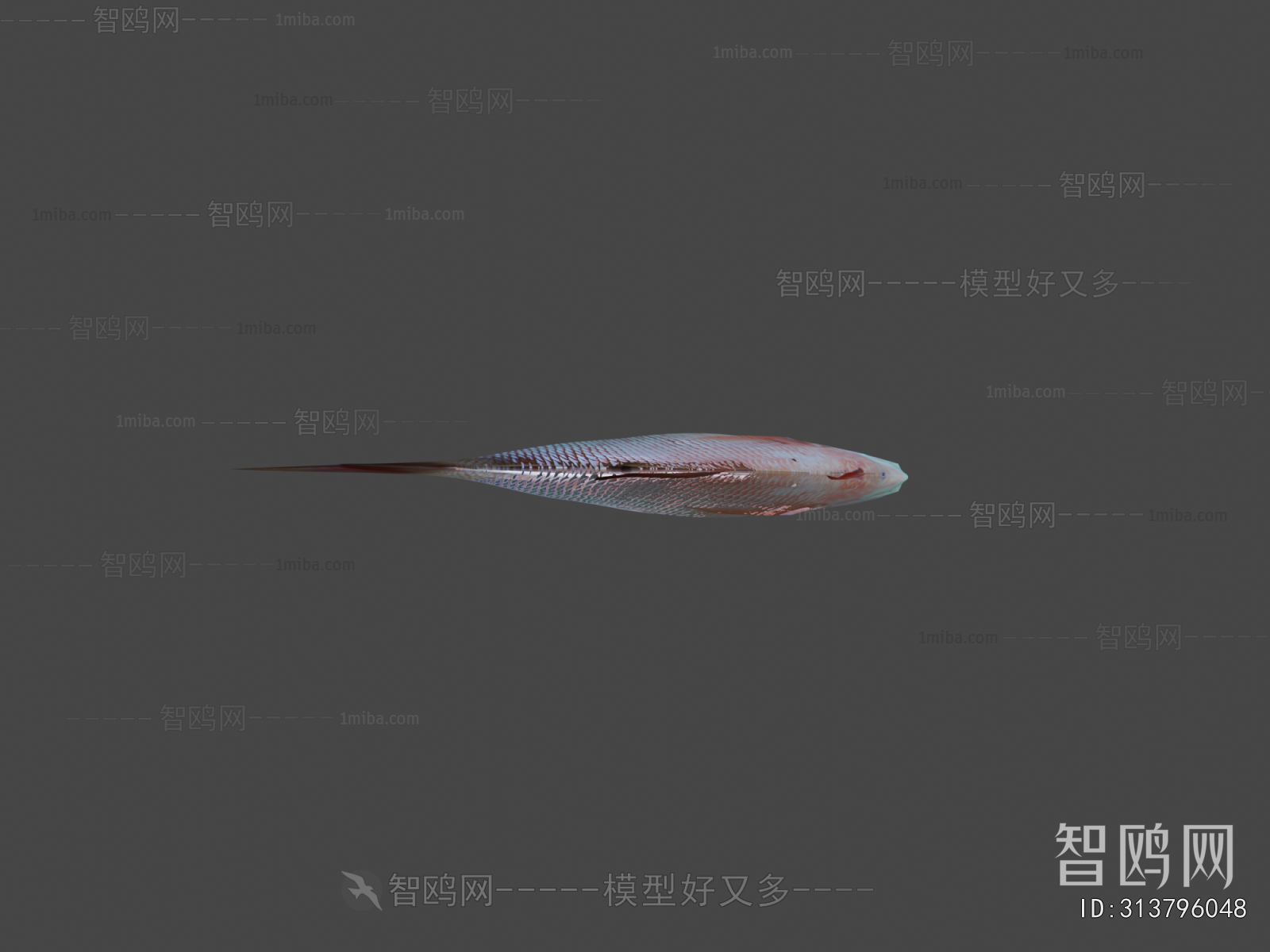 Modern Aquatic Animals