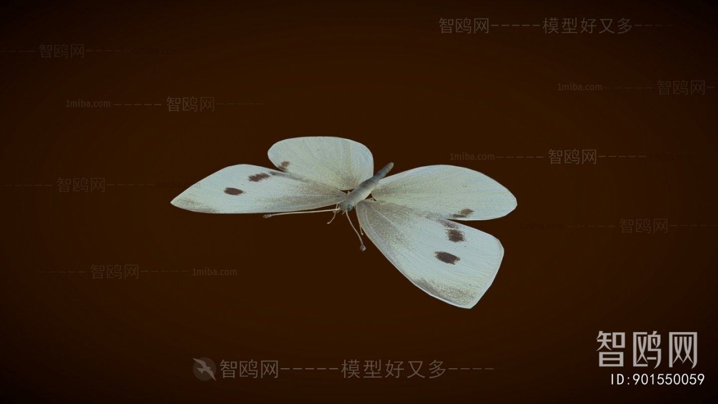 Modern Flying Animals