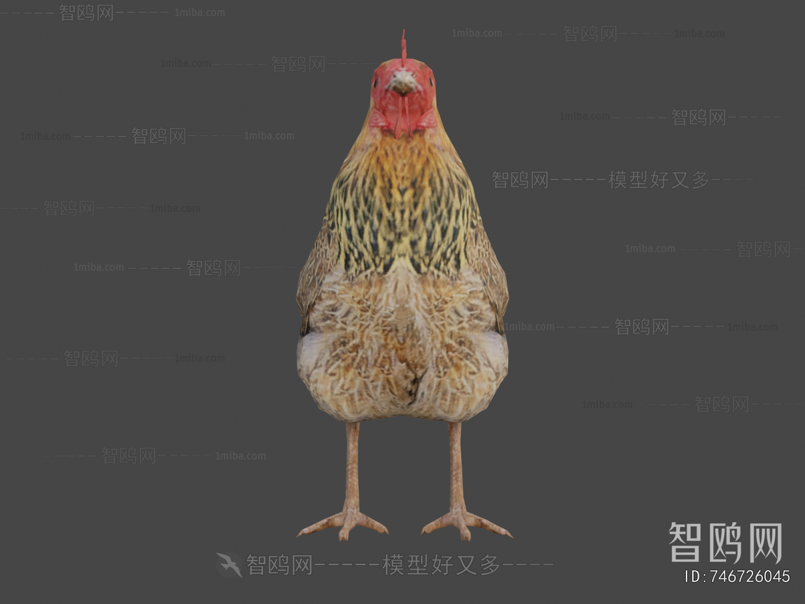 Modern Poultry Animal