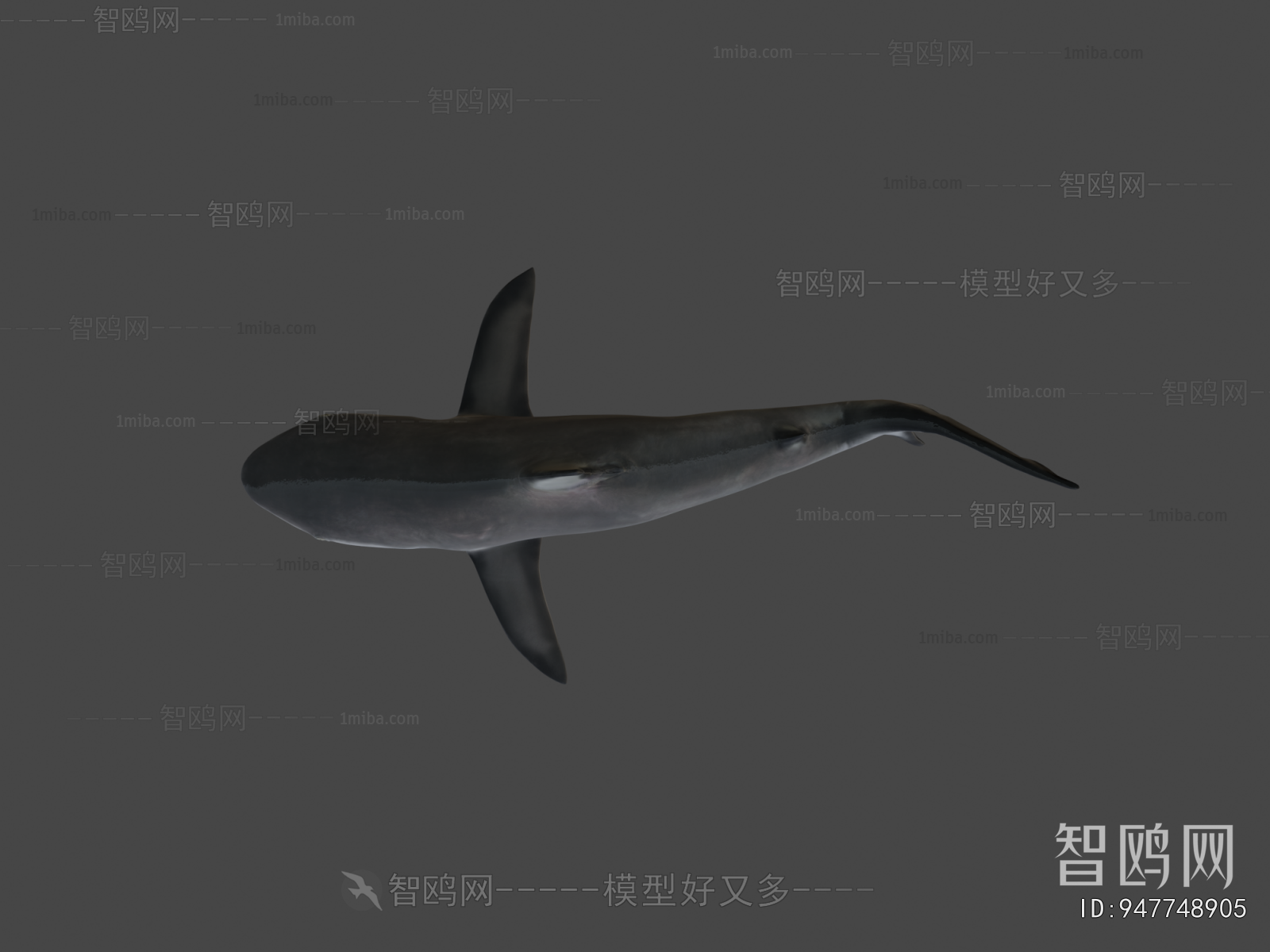 Modern Aquatic Animals