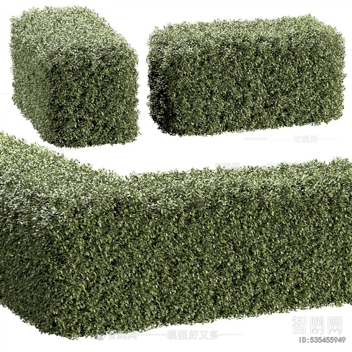 Modern Shrubbery
