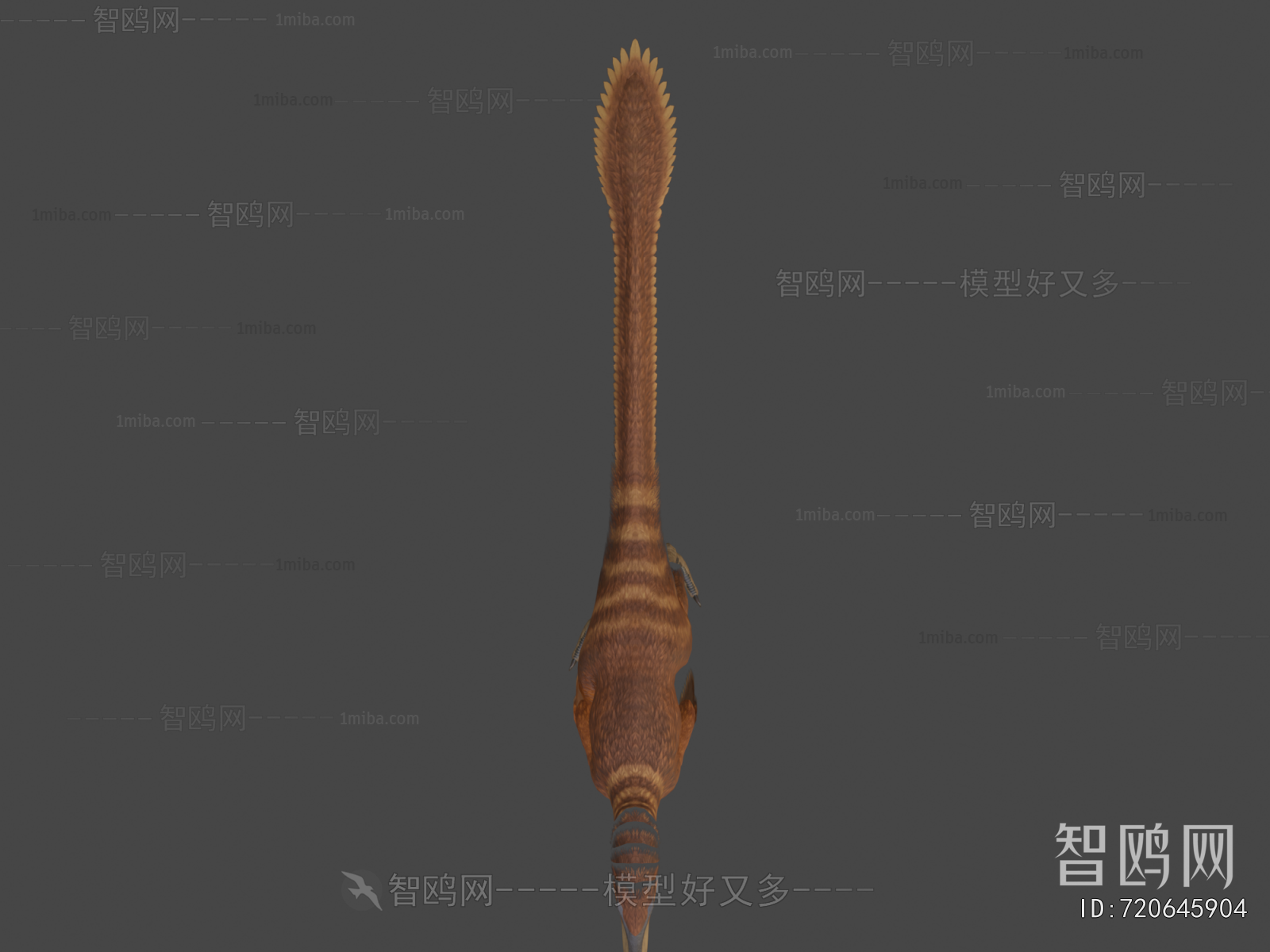 Modern Other Animals