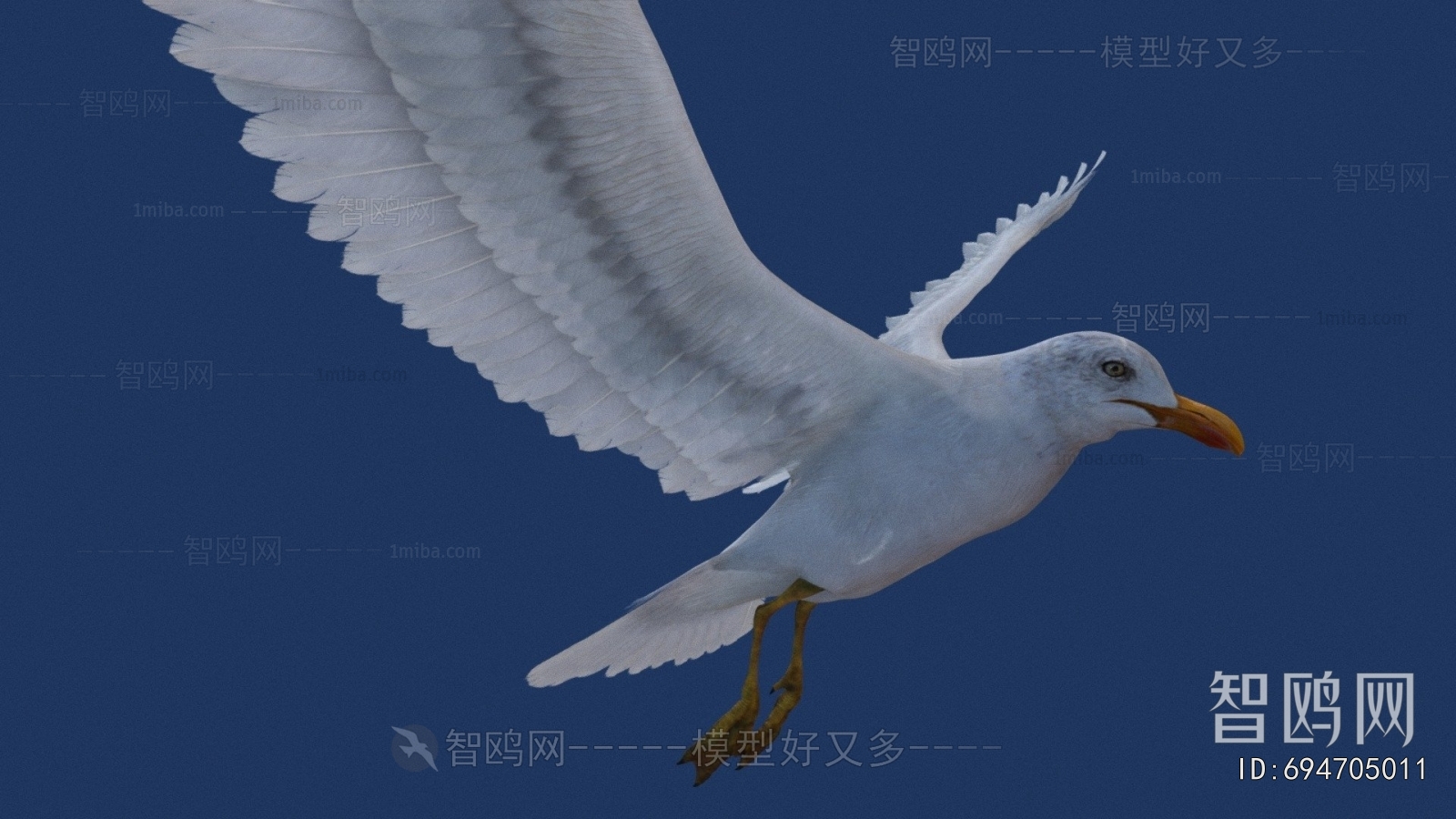 Modern Flying Animals