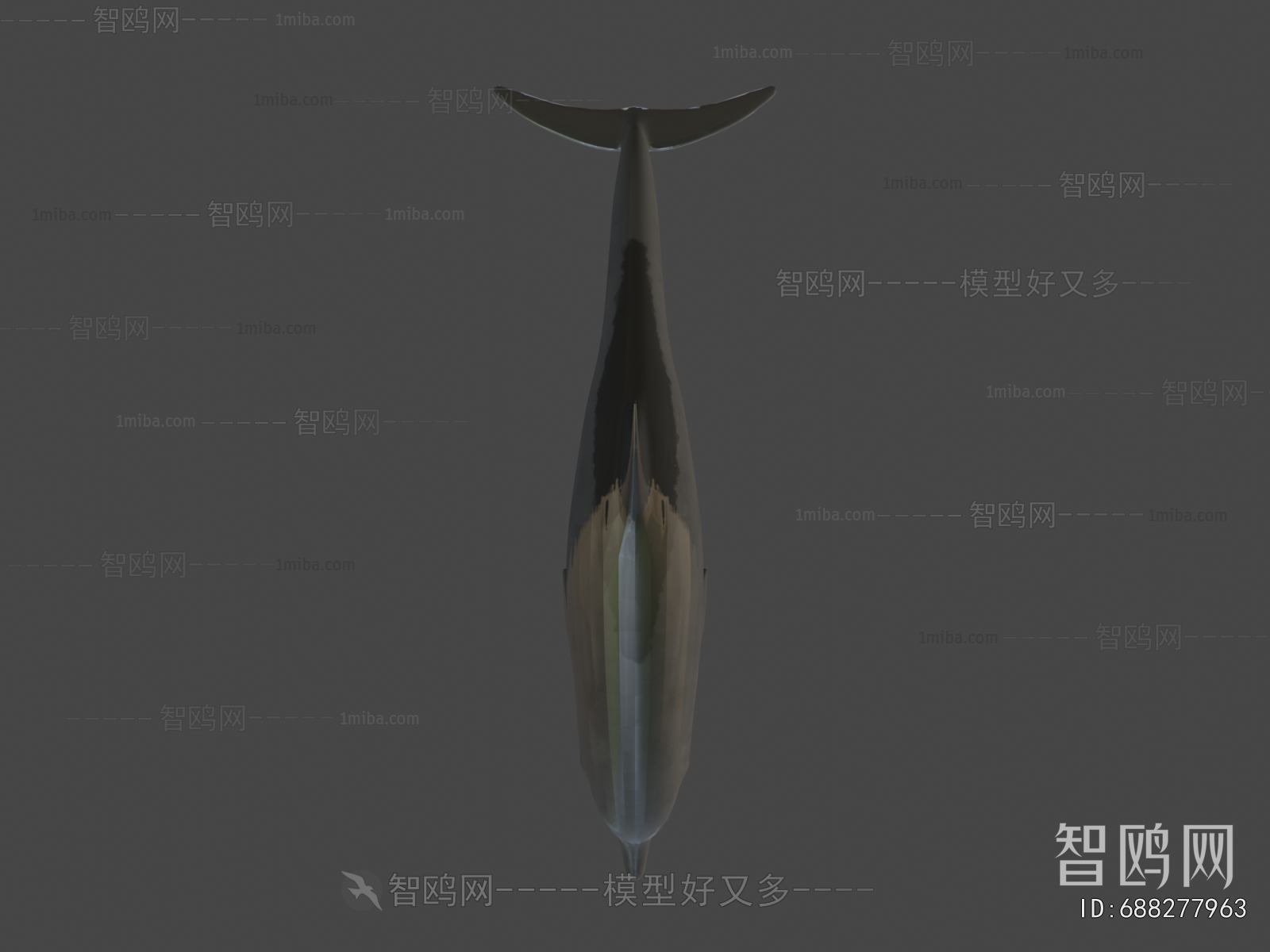 Modern Aquatic Animals