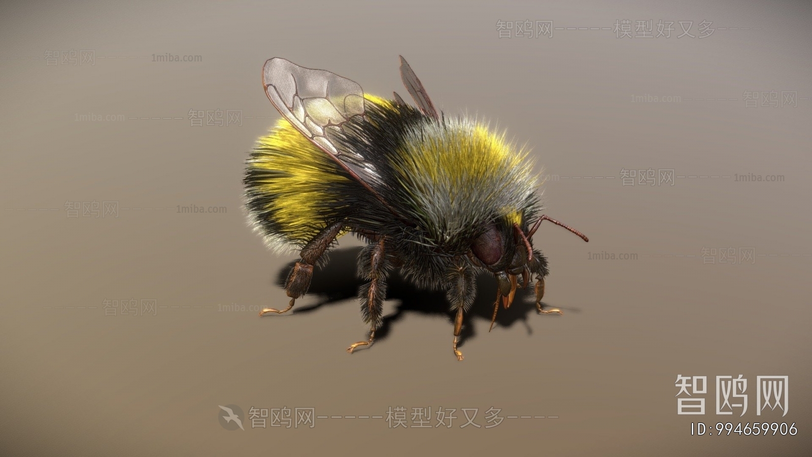 Modern Flying Animals