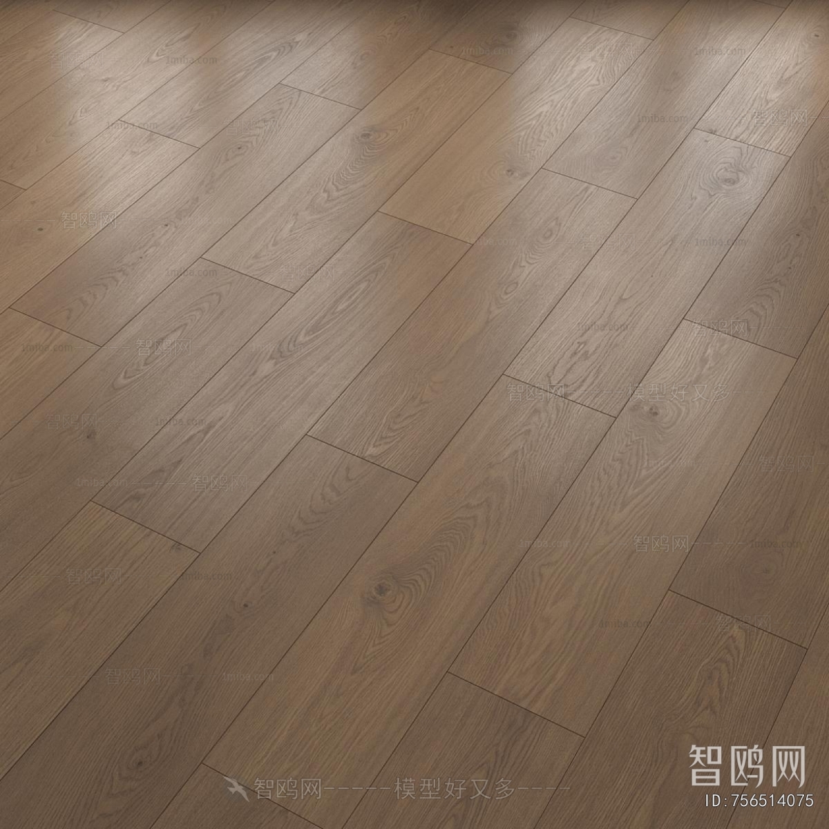 Modern Floor