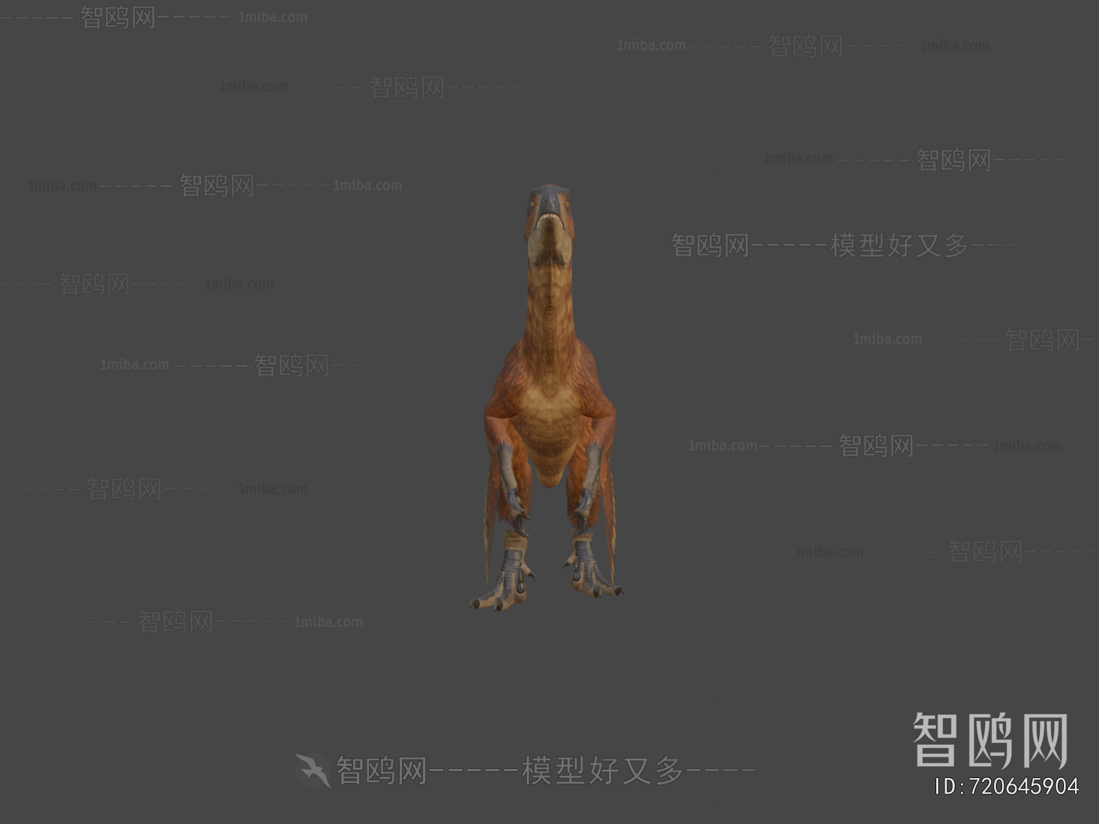 Modern Other Animals