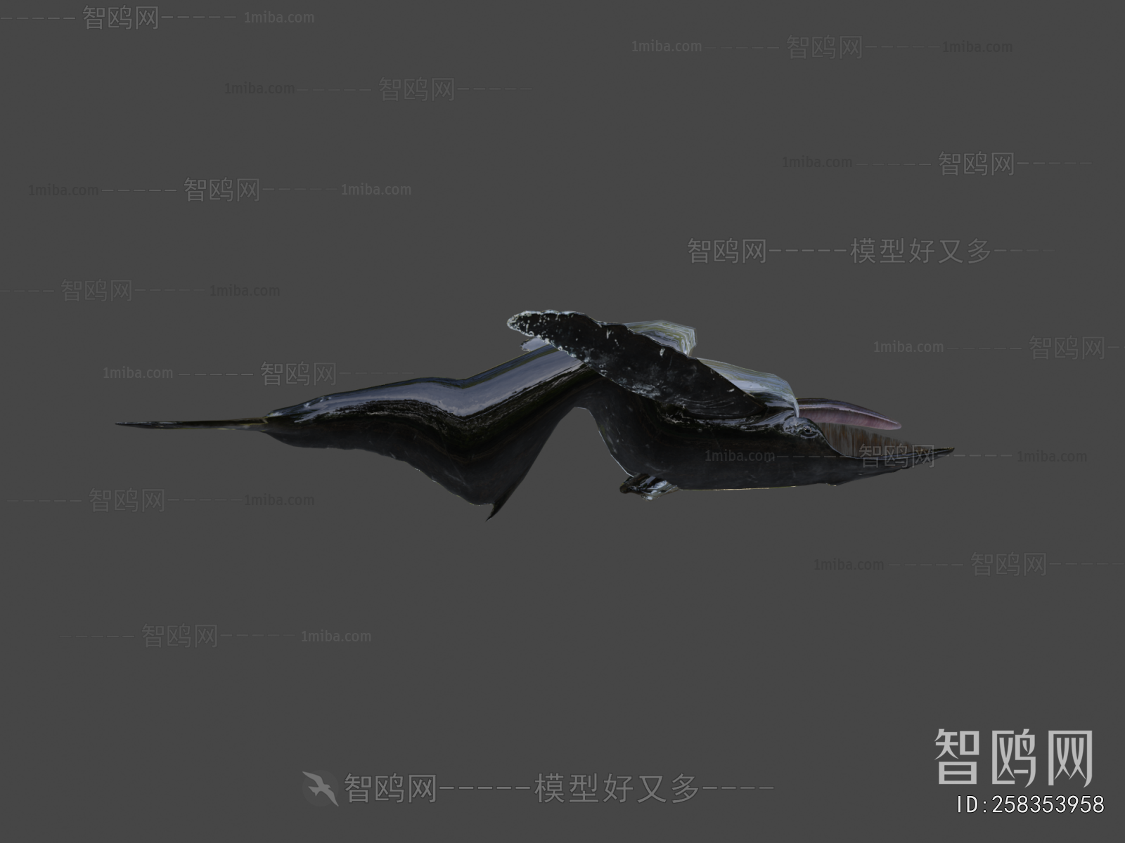 Modern Aquatic Animals