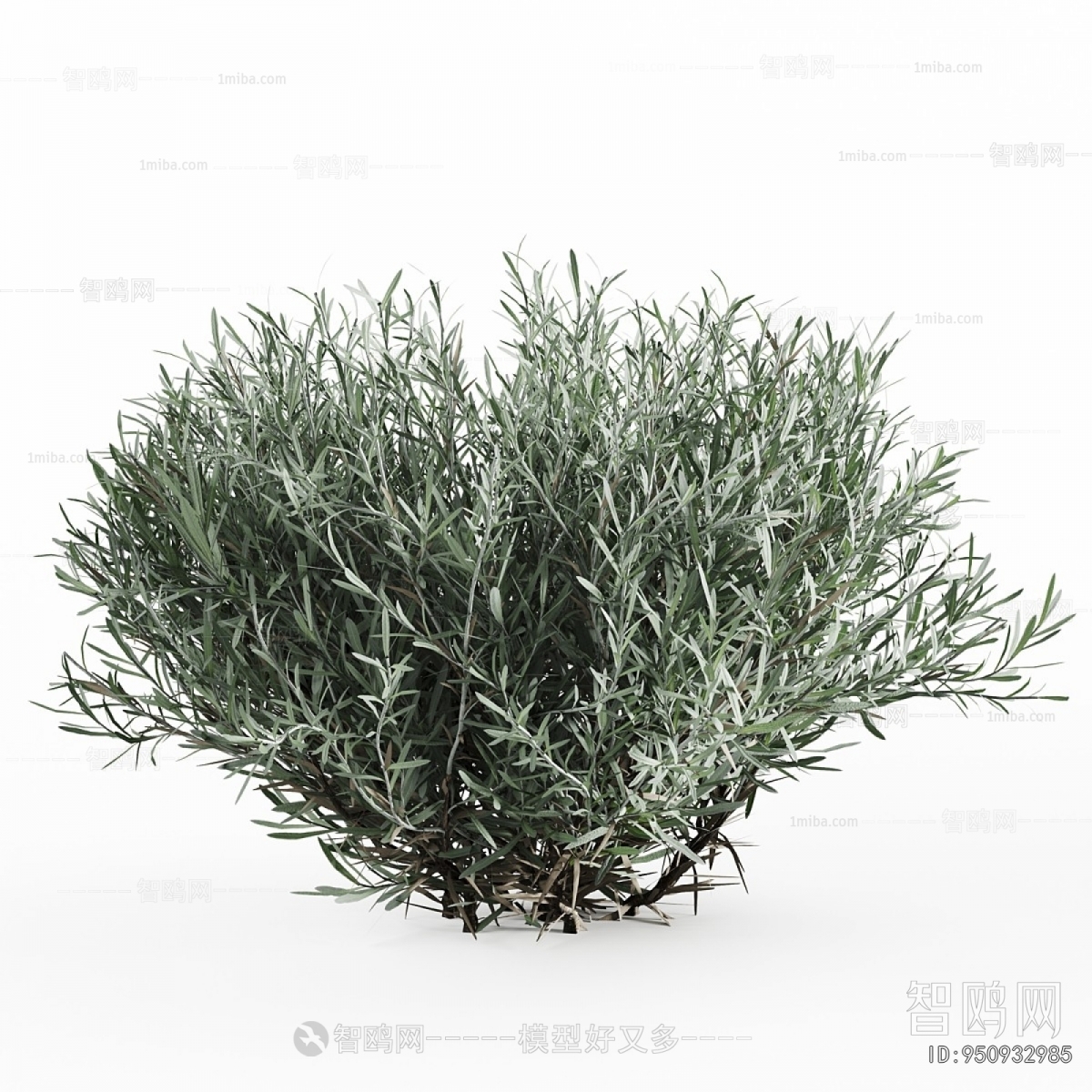 Modern Flowers And Grass