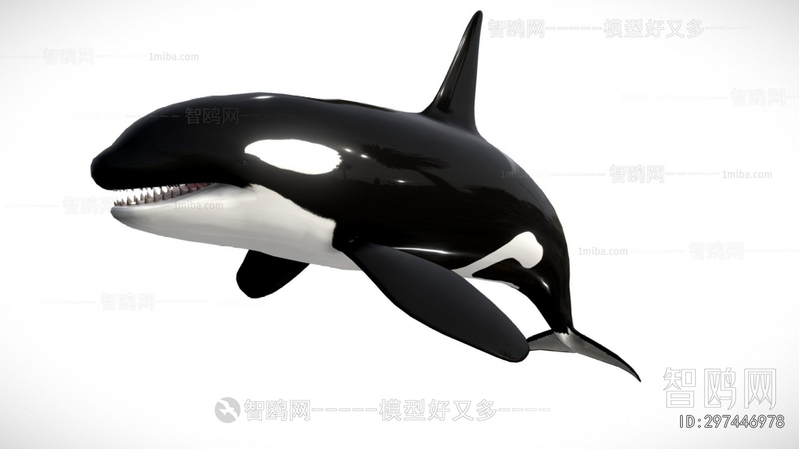 Modern Aquatic Animals