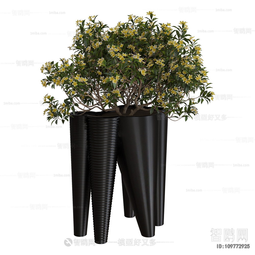 Modern Flower Bed, Flower Bowl, Flower Box