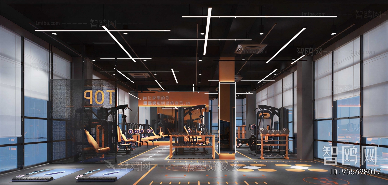 Modern Gym