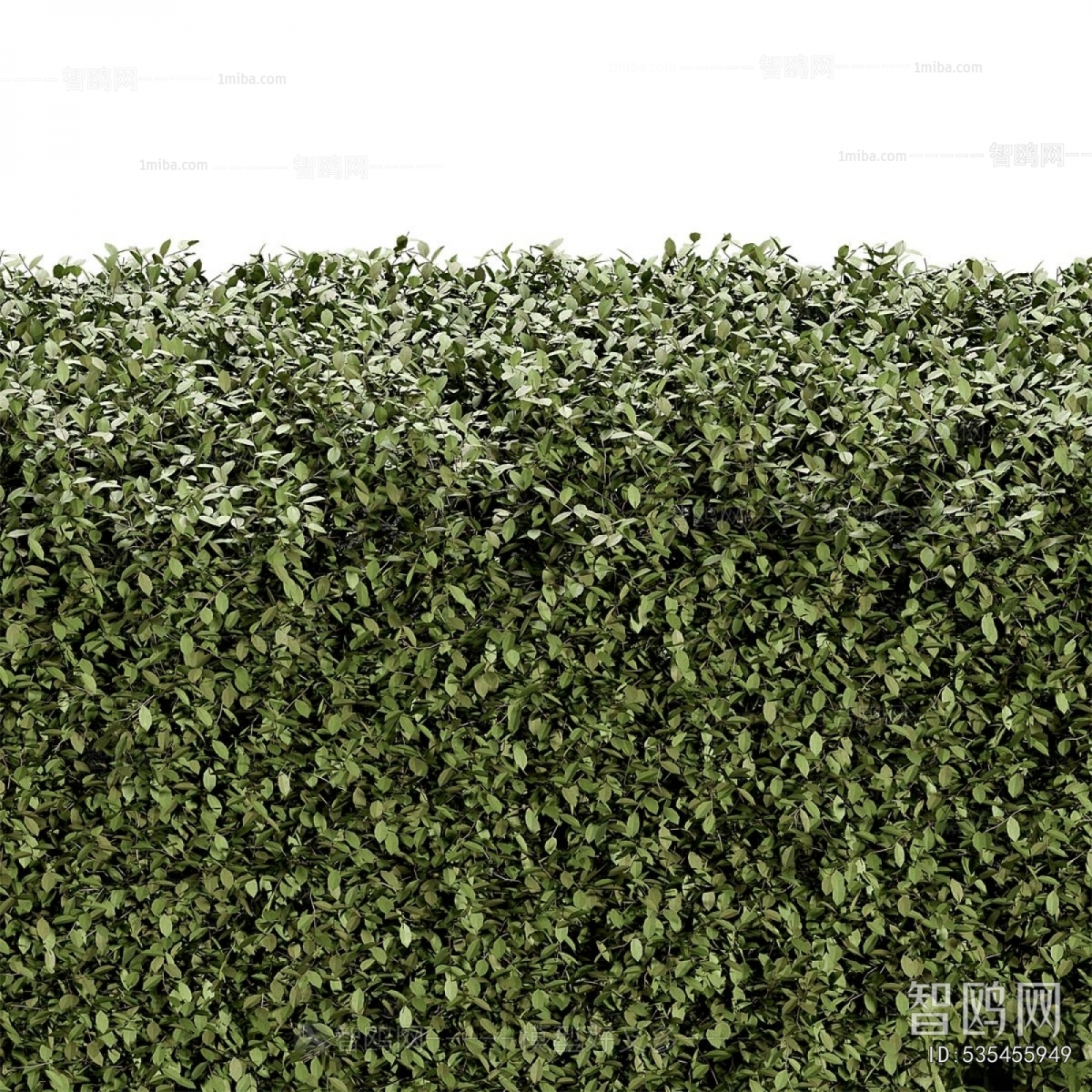 Modern Shrubbery