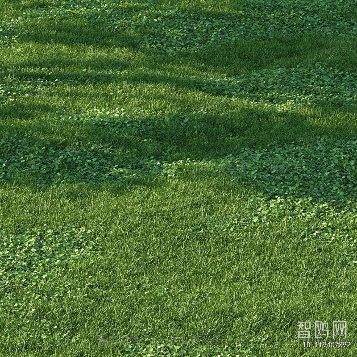 Modern The Grass