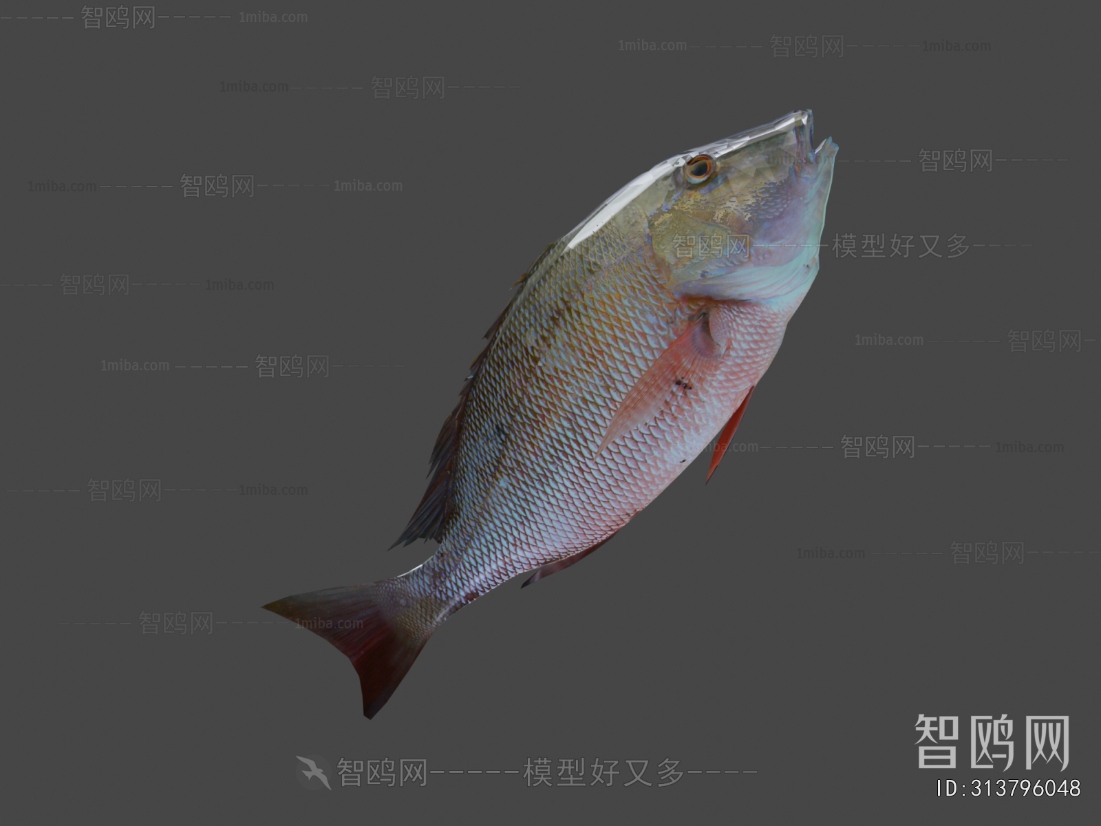 Modern Aquatic Animals