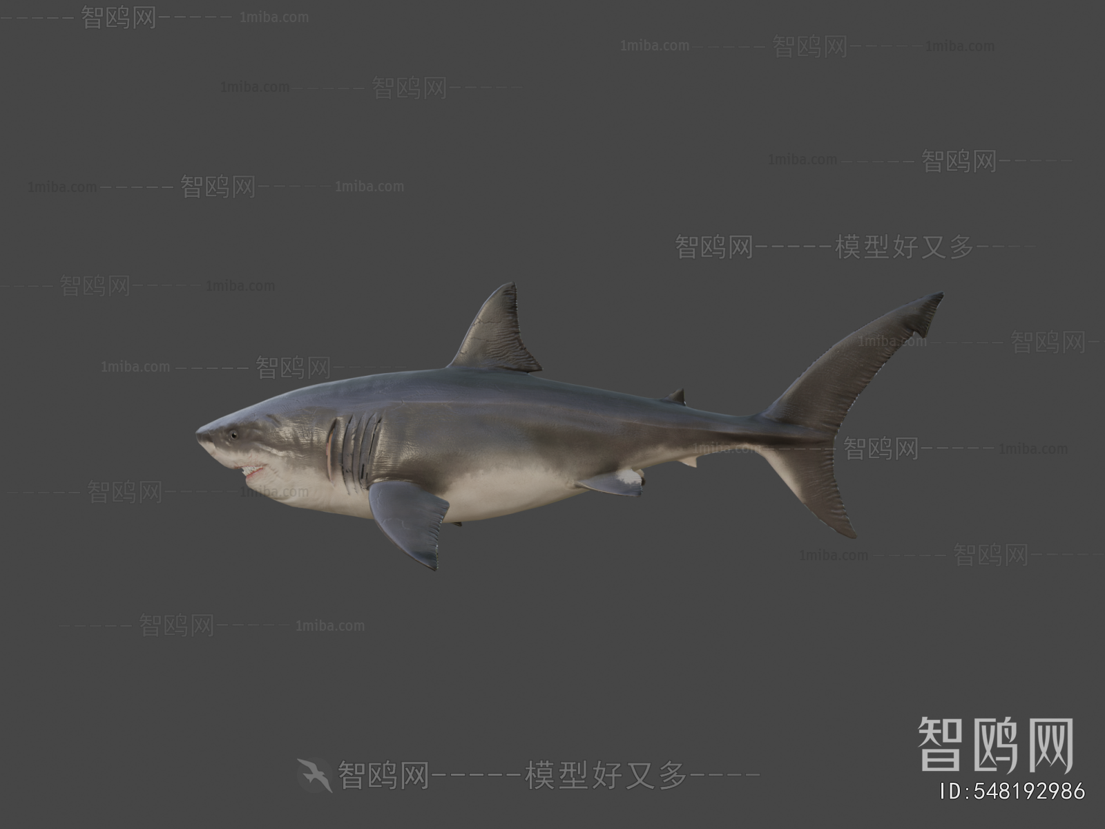 Modern Aquatic Animals