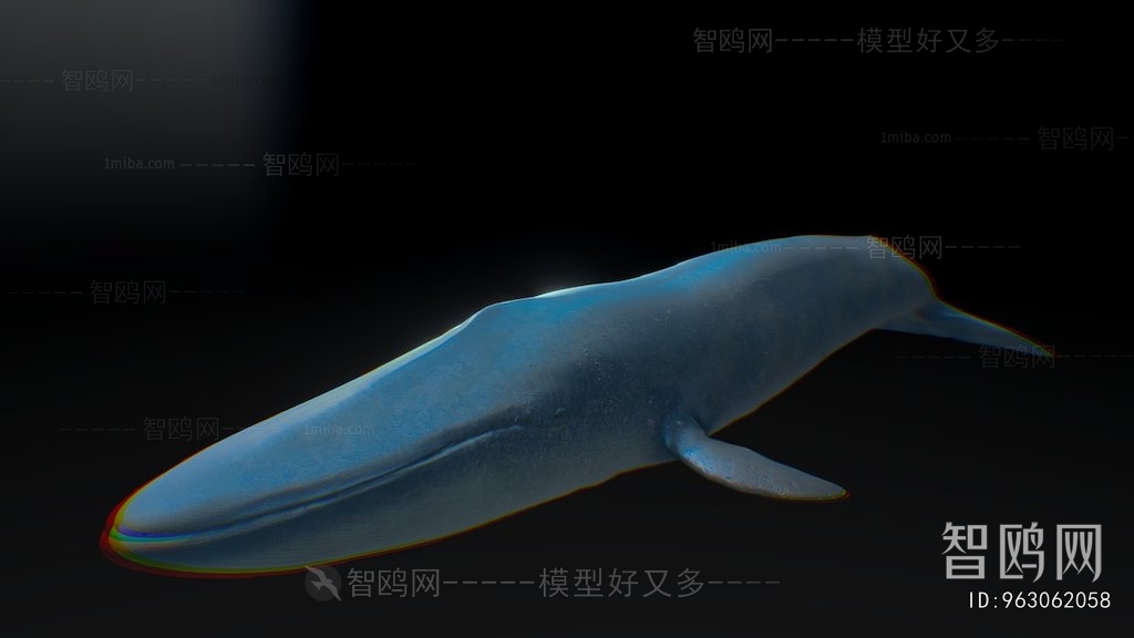 Modern Aquatic Animals