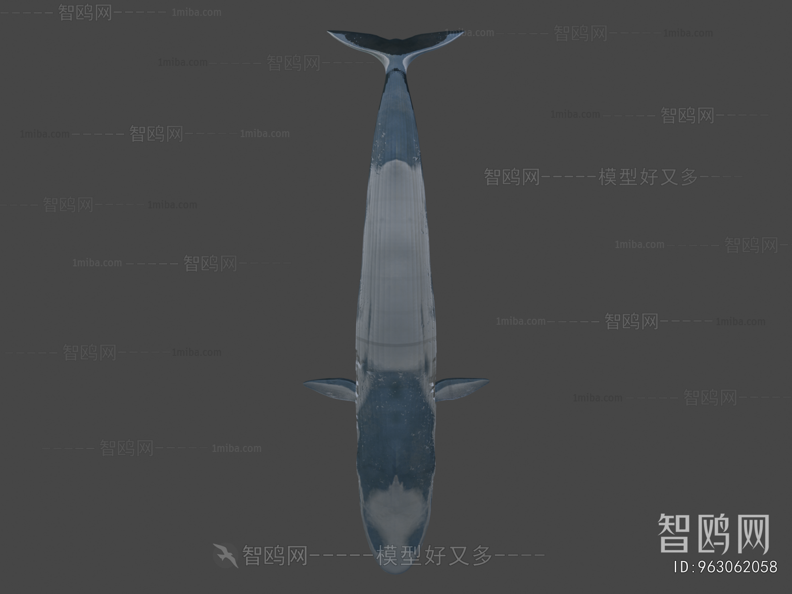 Modern Aquatic Animals