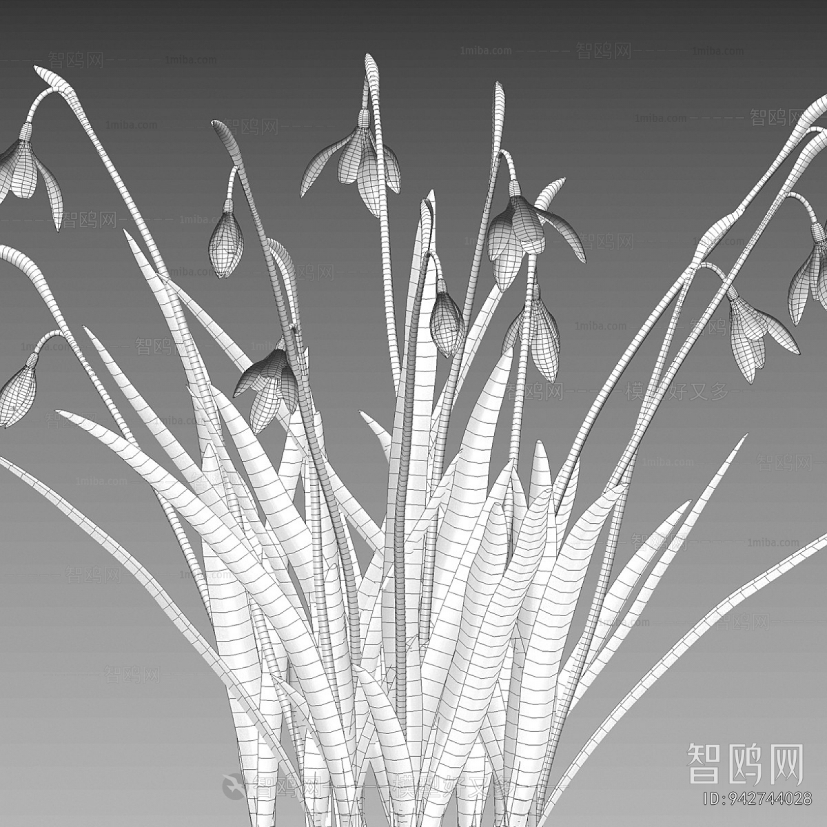 Modern Flowers And Grass