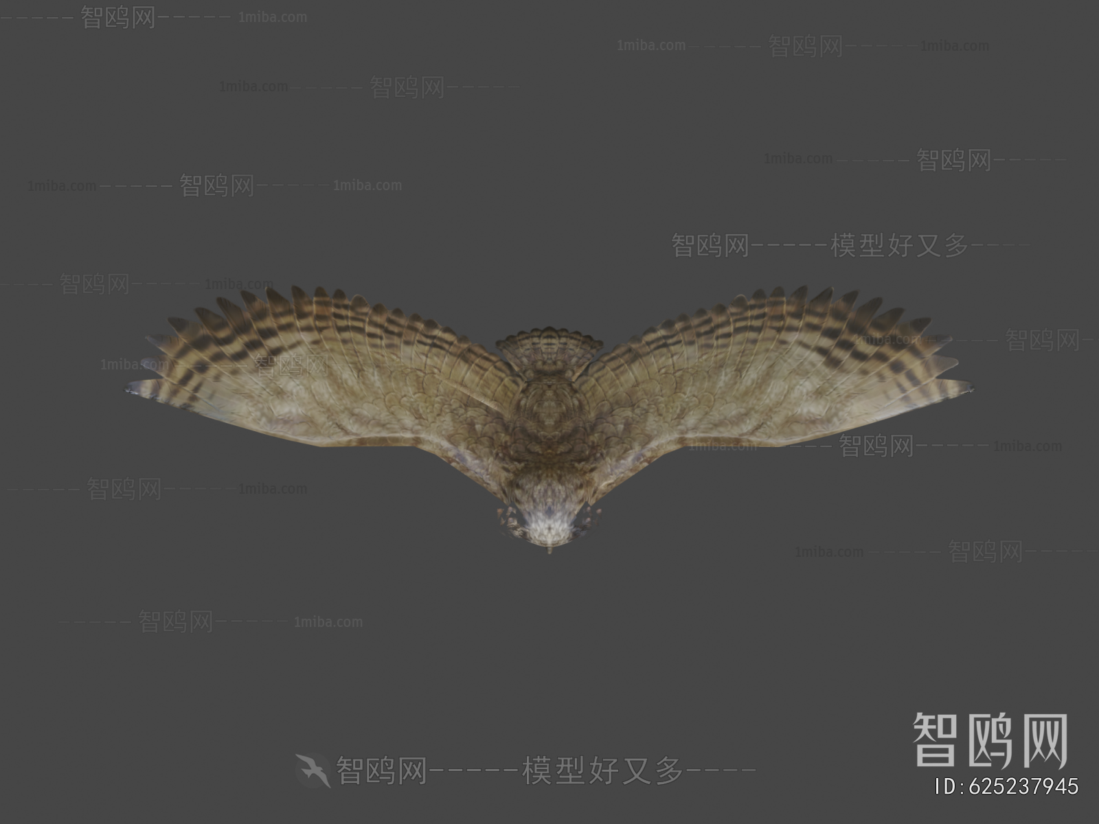 Modern Flying Animals