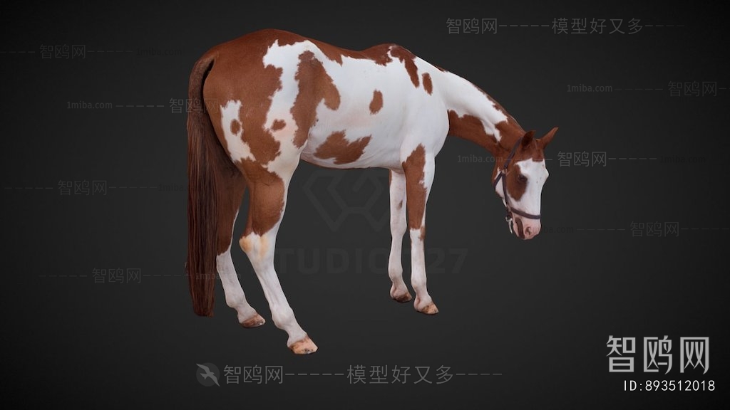 Modern Animal Horse