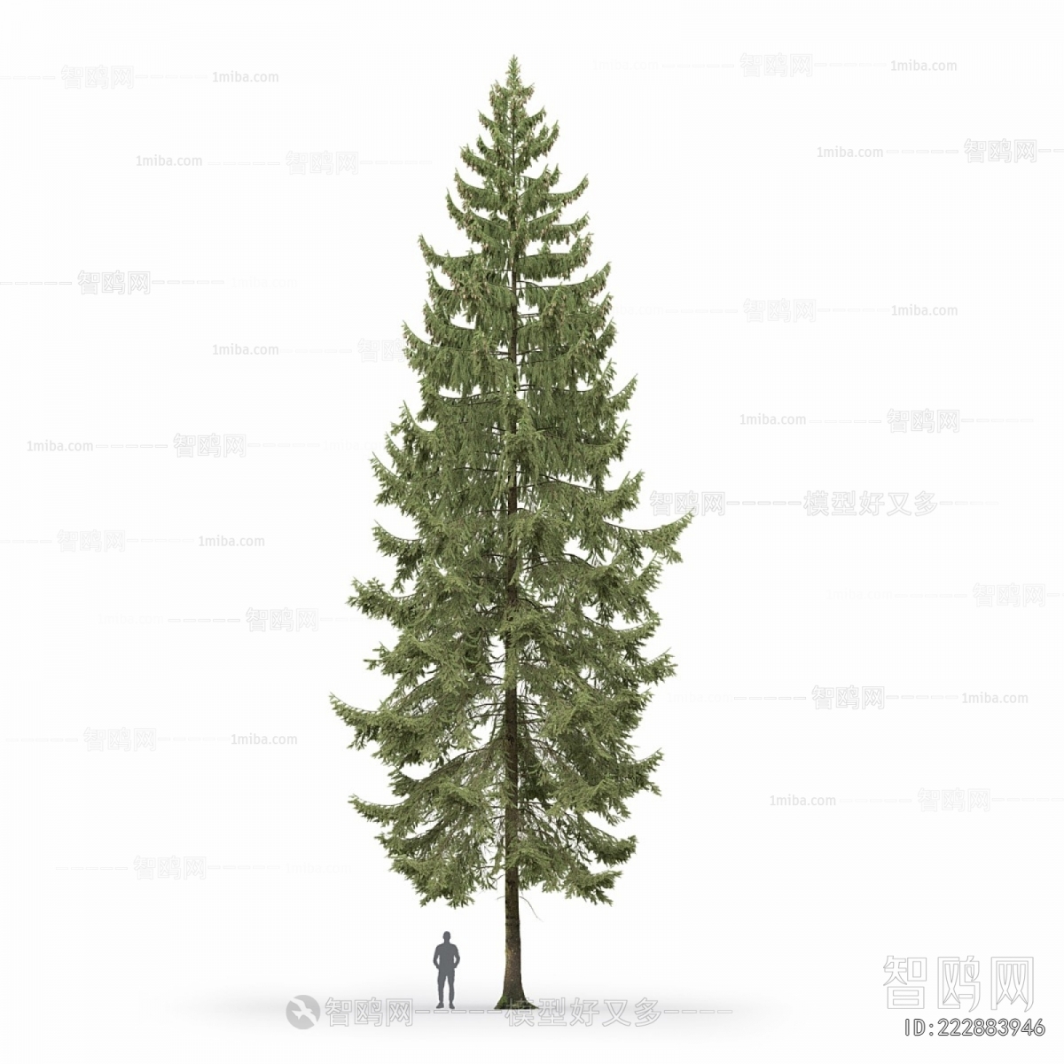 Modern Tree/shrub/grass