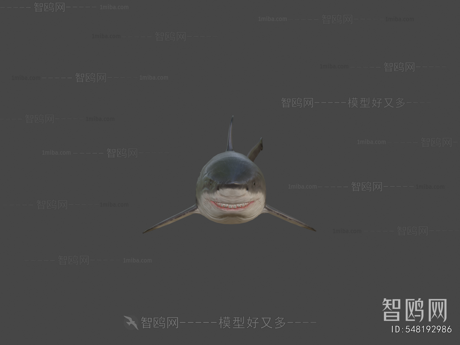 Modern Aquatic Animals