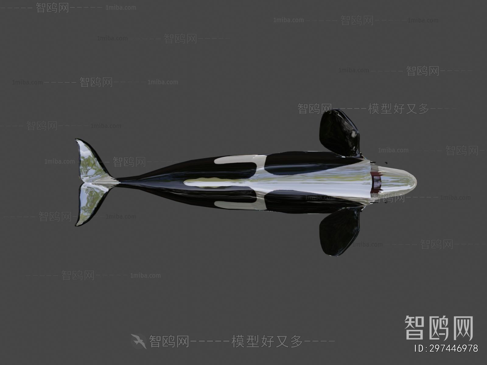 Modern Aquatic Animals