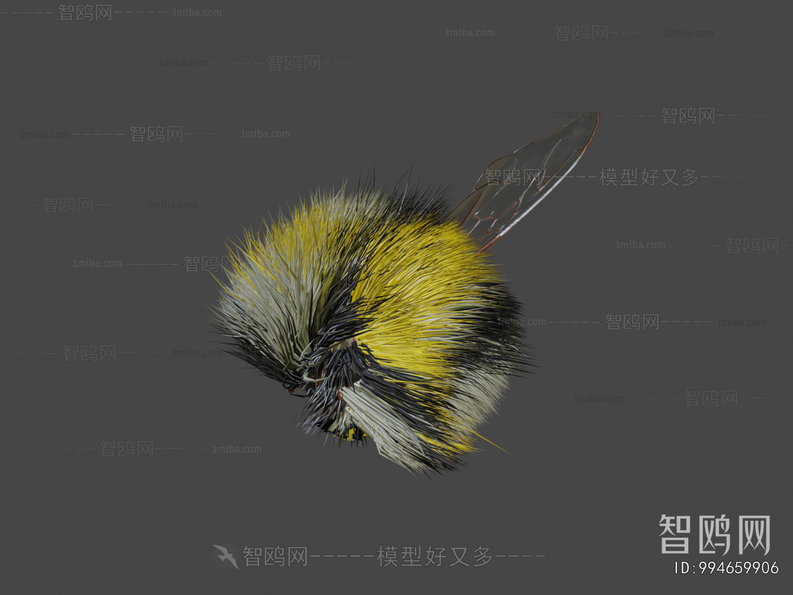 Modern Flying Animals