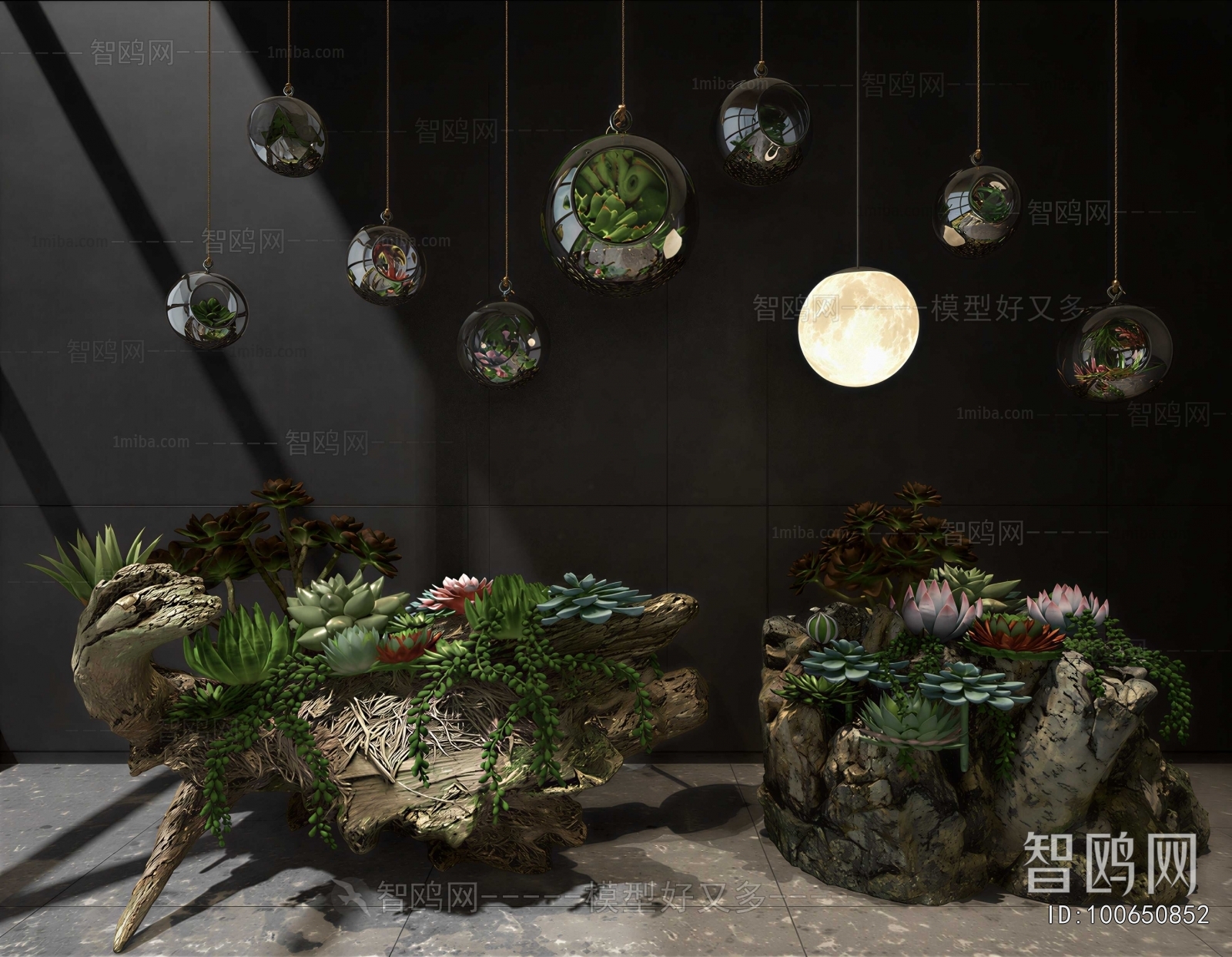 Modern Chlorophytum Comosum