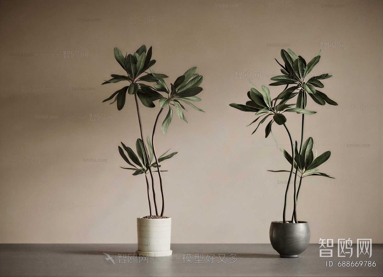 Modern Ground Green Plant Potted Plants