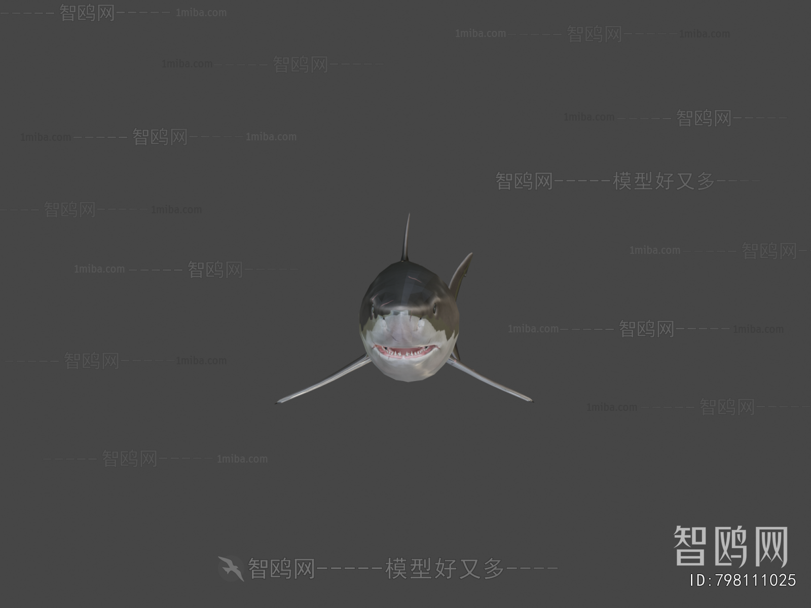 Modern Aquatic Animals