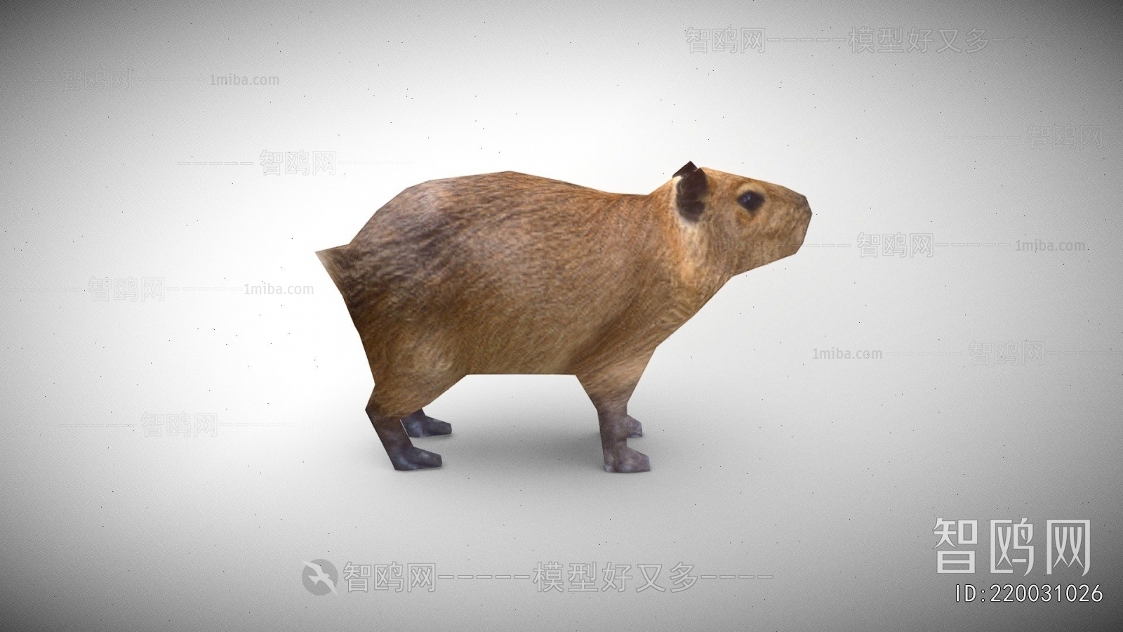 Modern Mammal