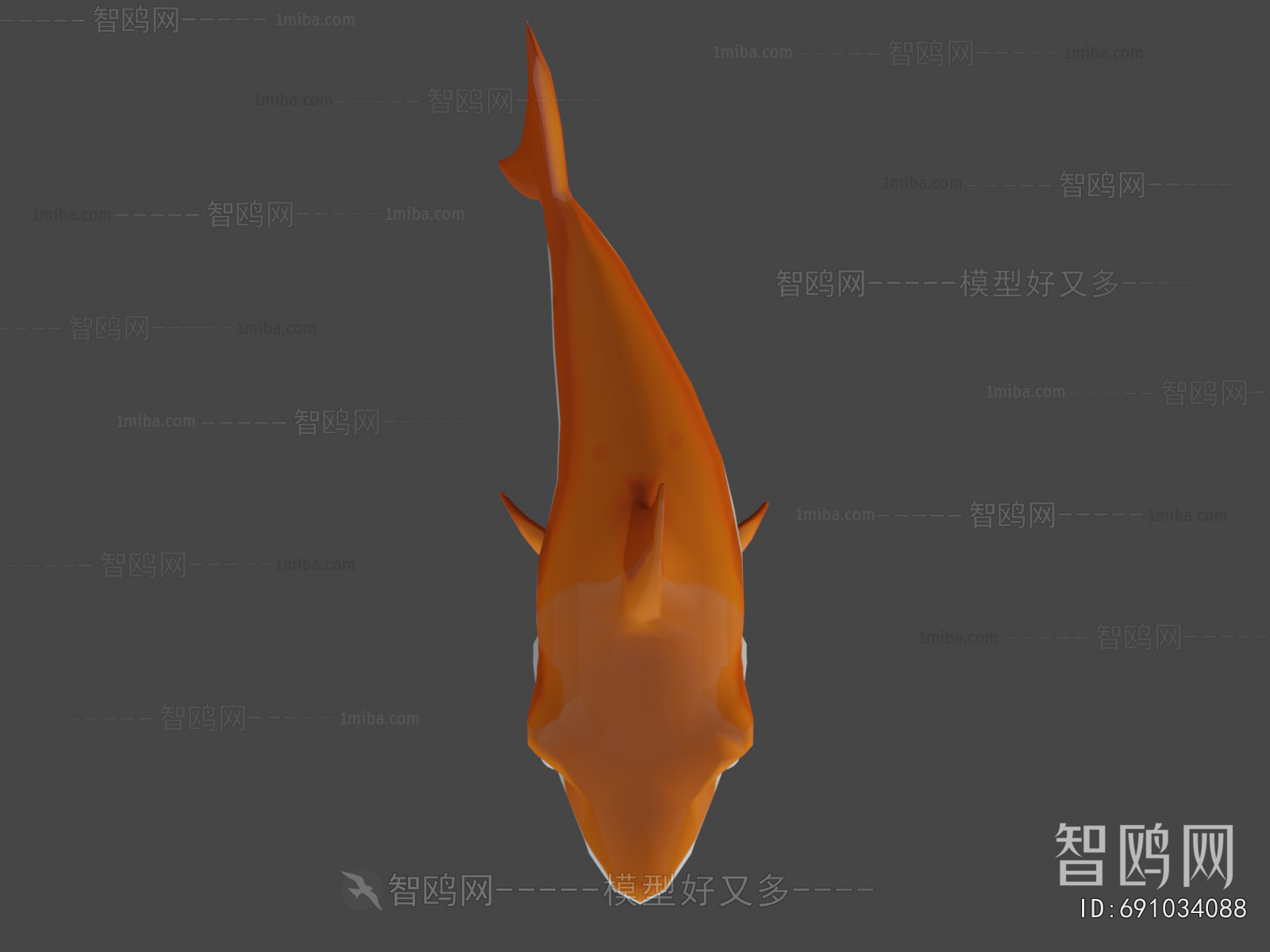 Modern Aquatic Animals