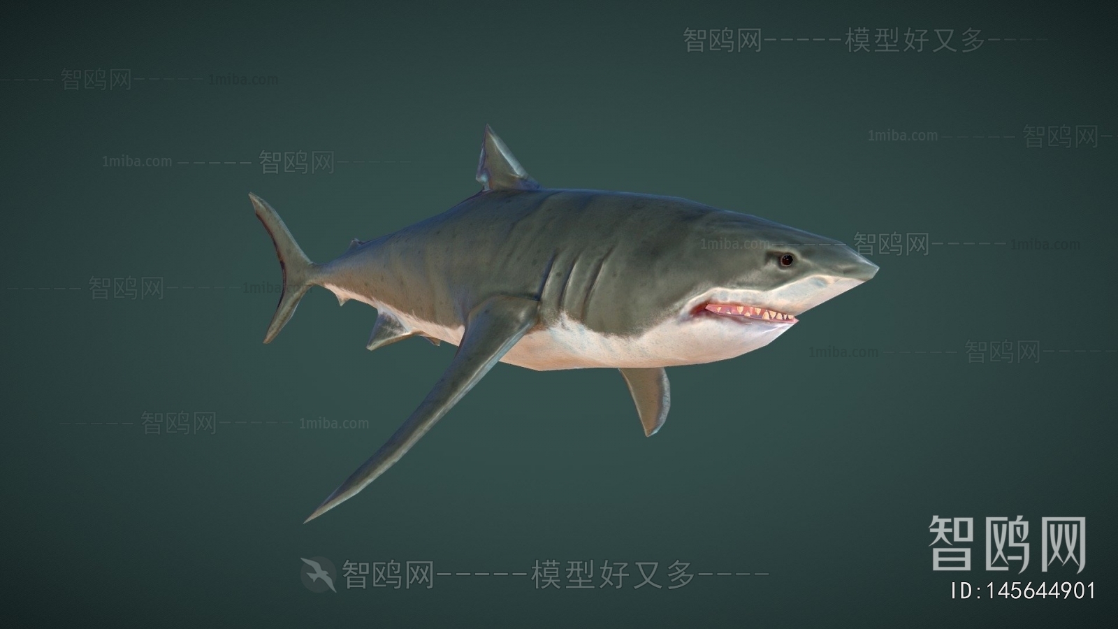 Modern Aquatic Animals