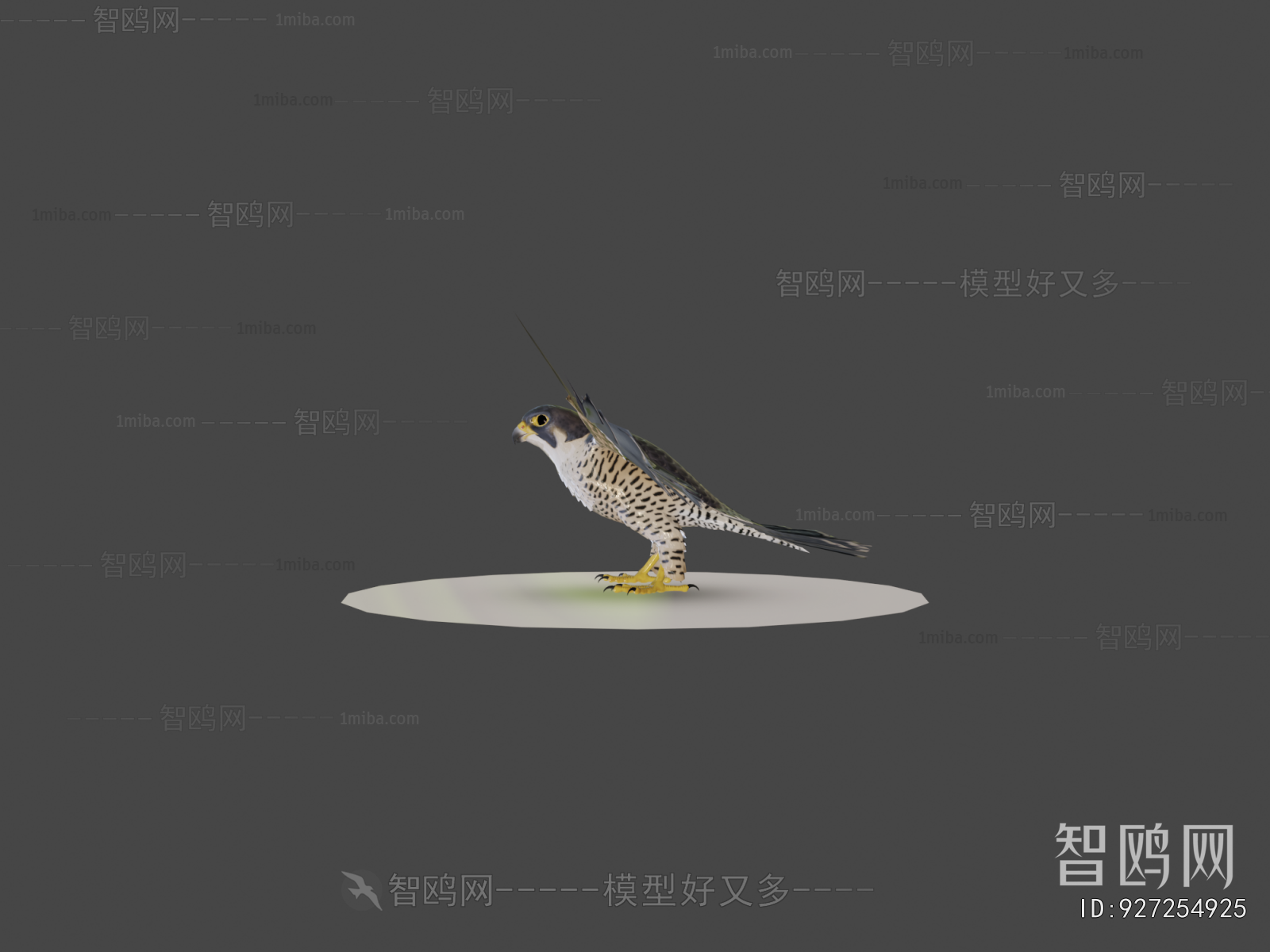 Modern Flying Animals